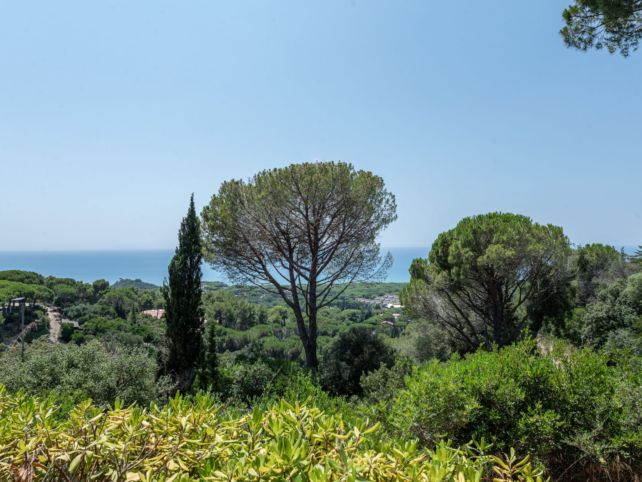 View