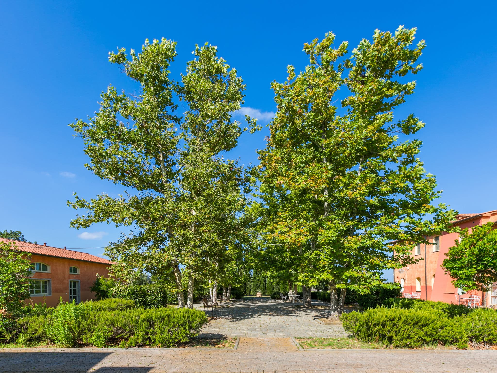 Outdoor