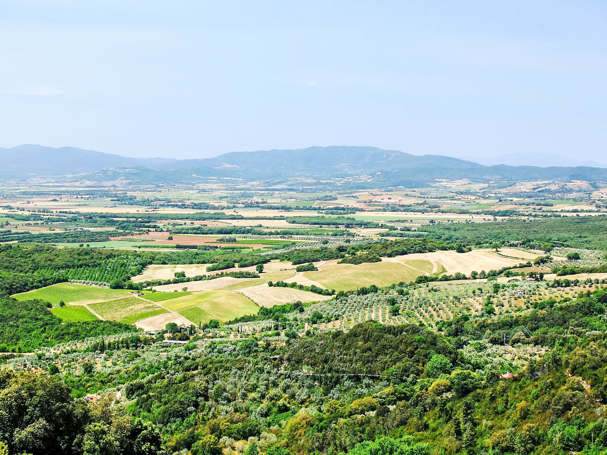 View