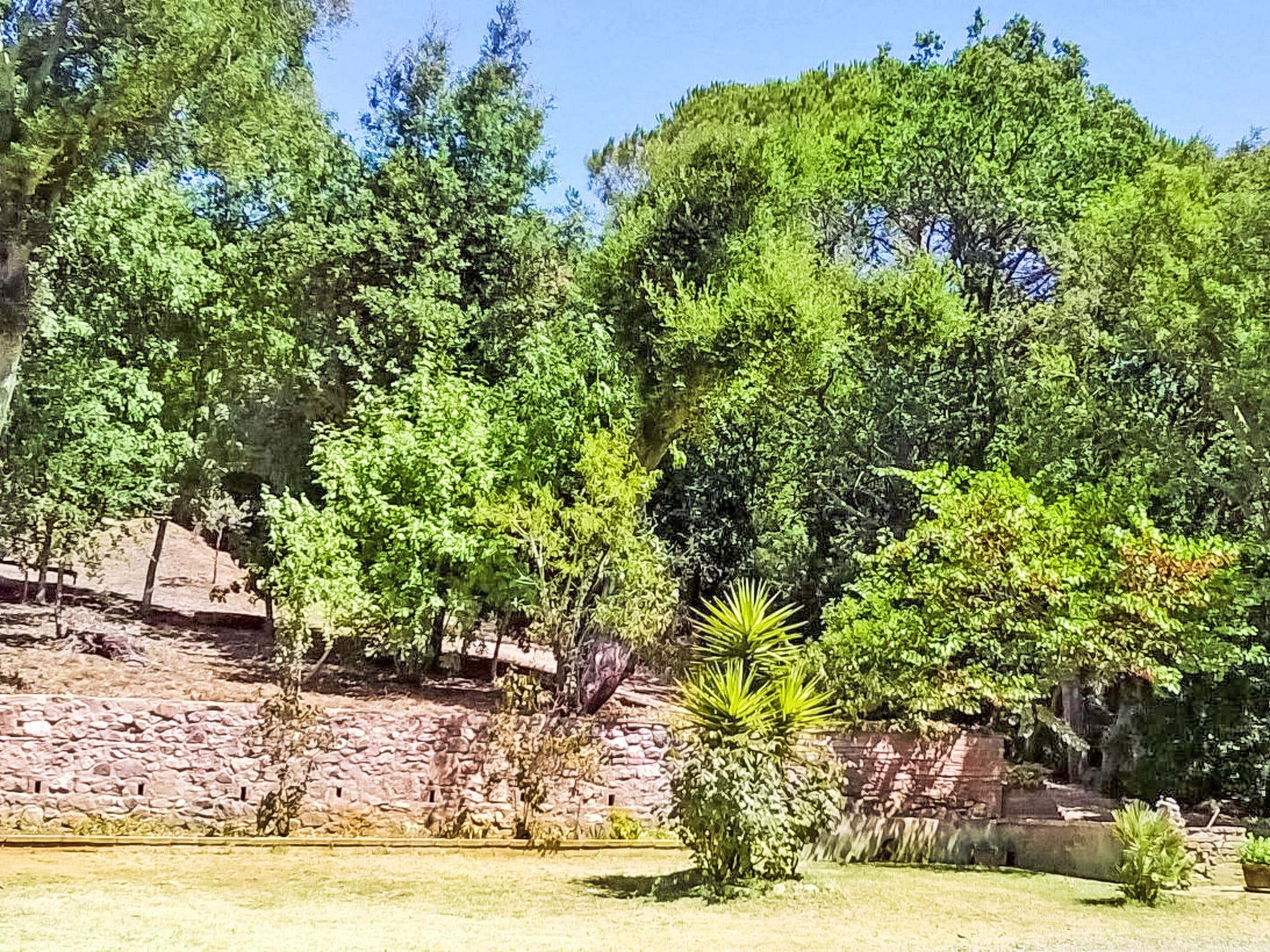 Outdoor