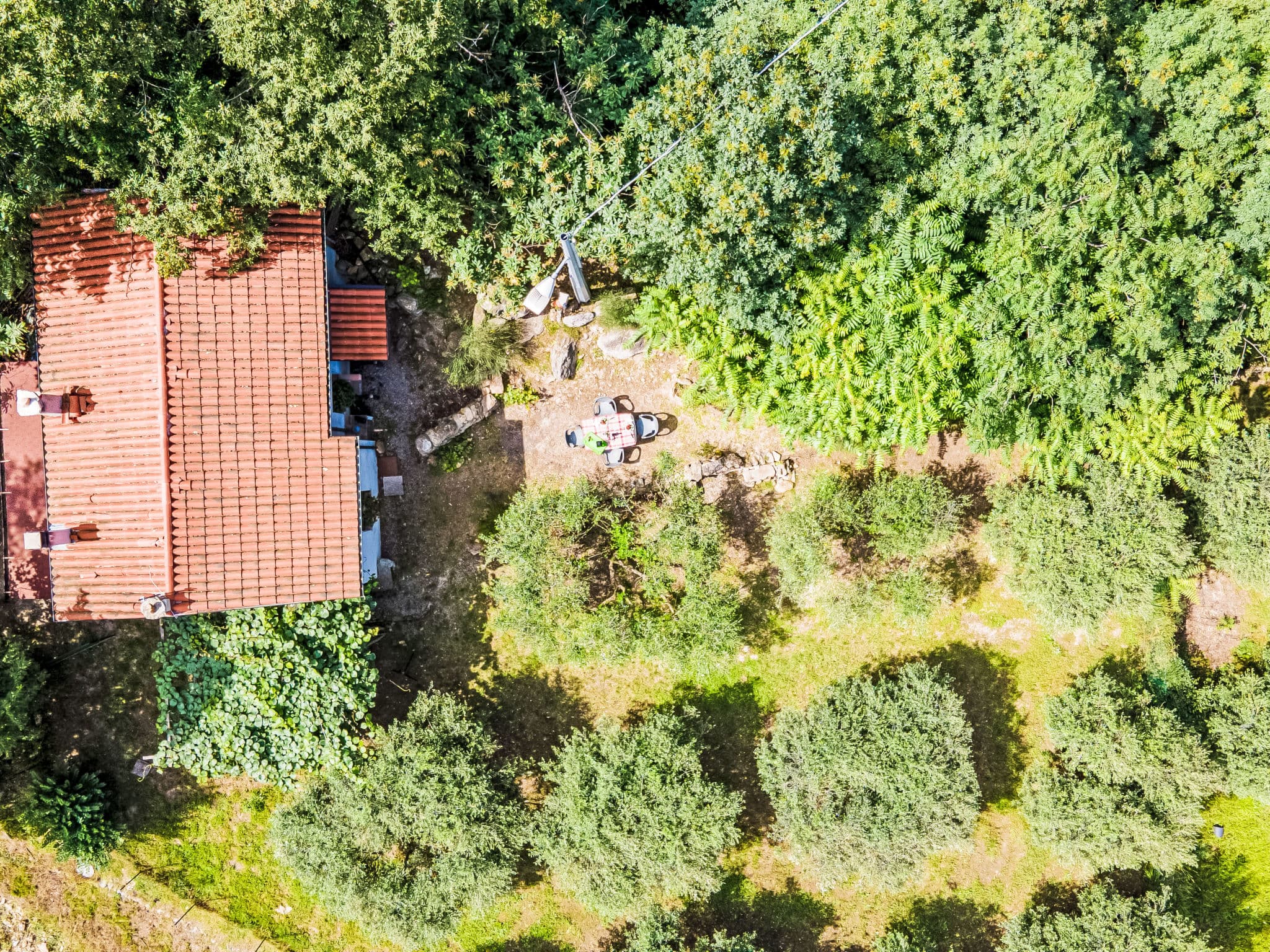 Aerial photography