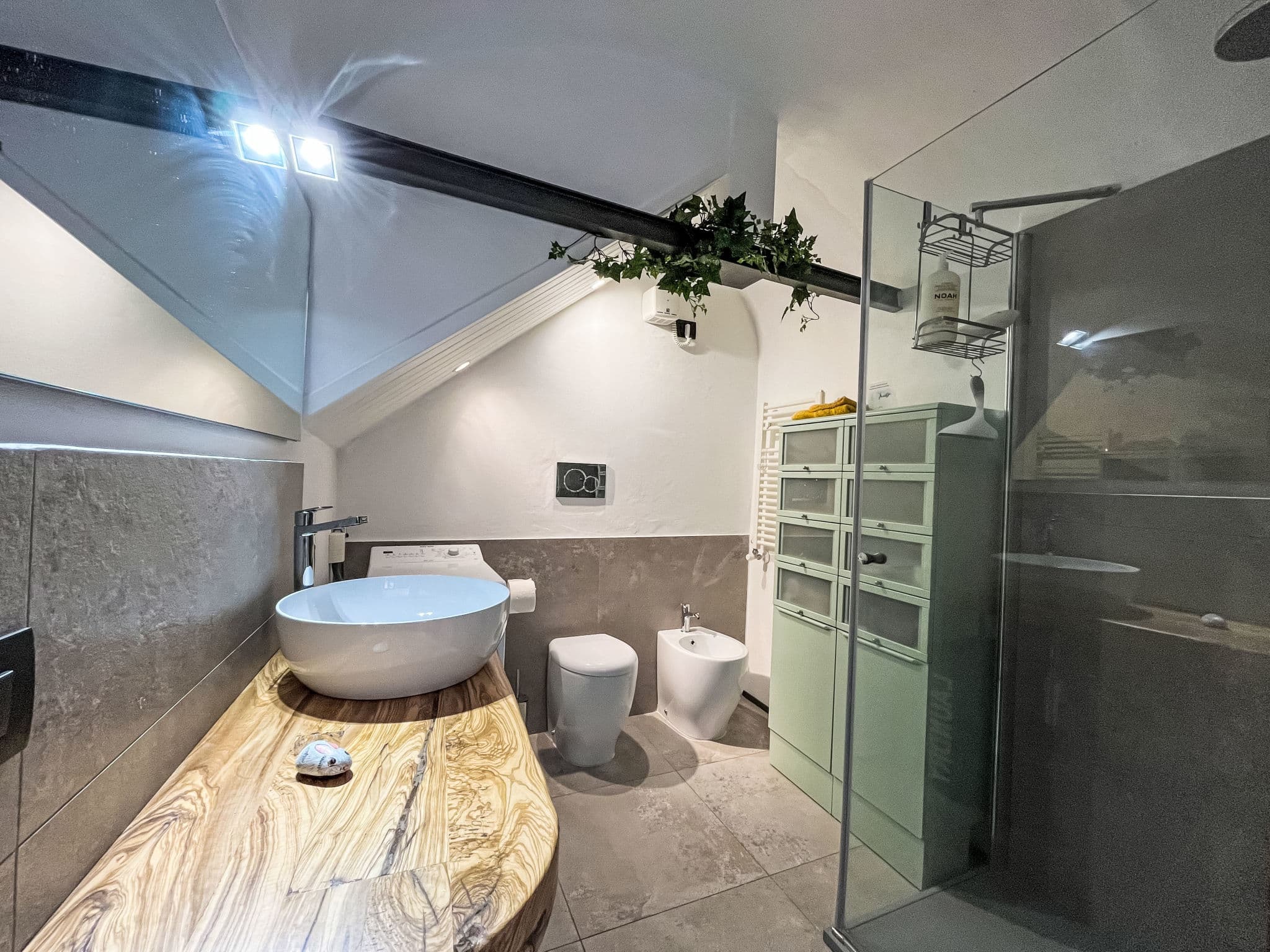 Bathroom / Wellness