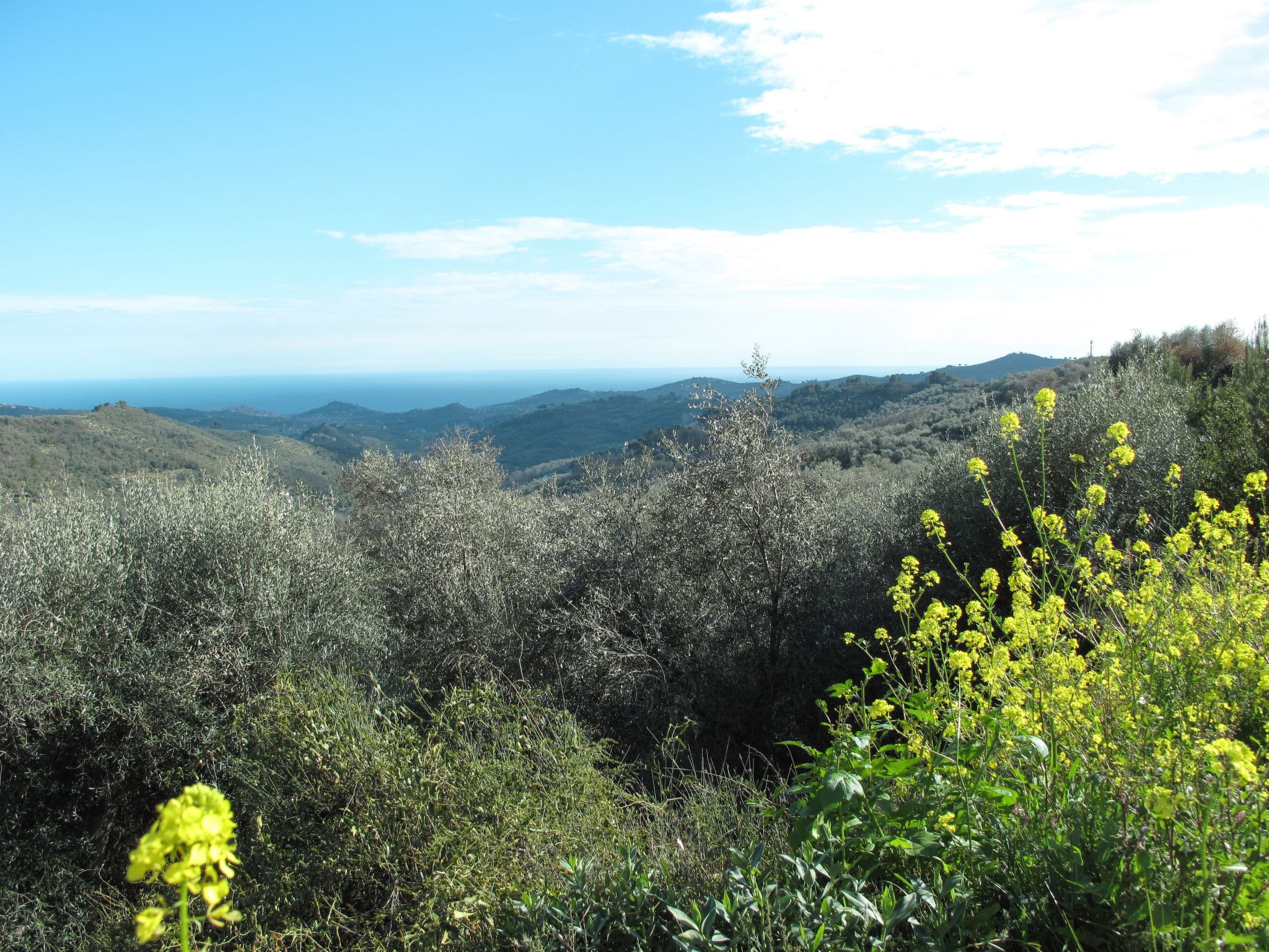 Place