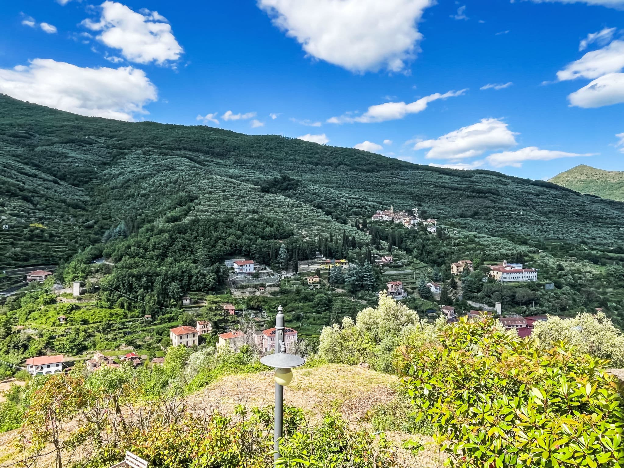 View