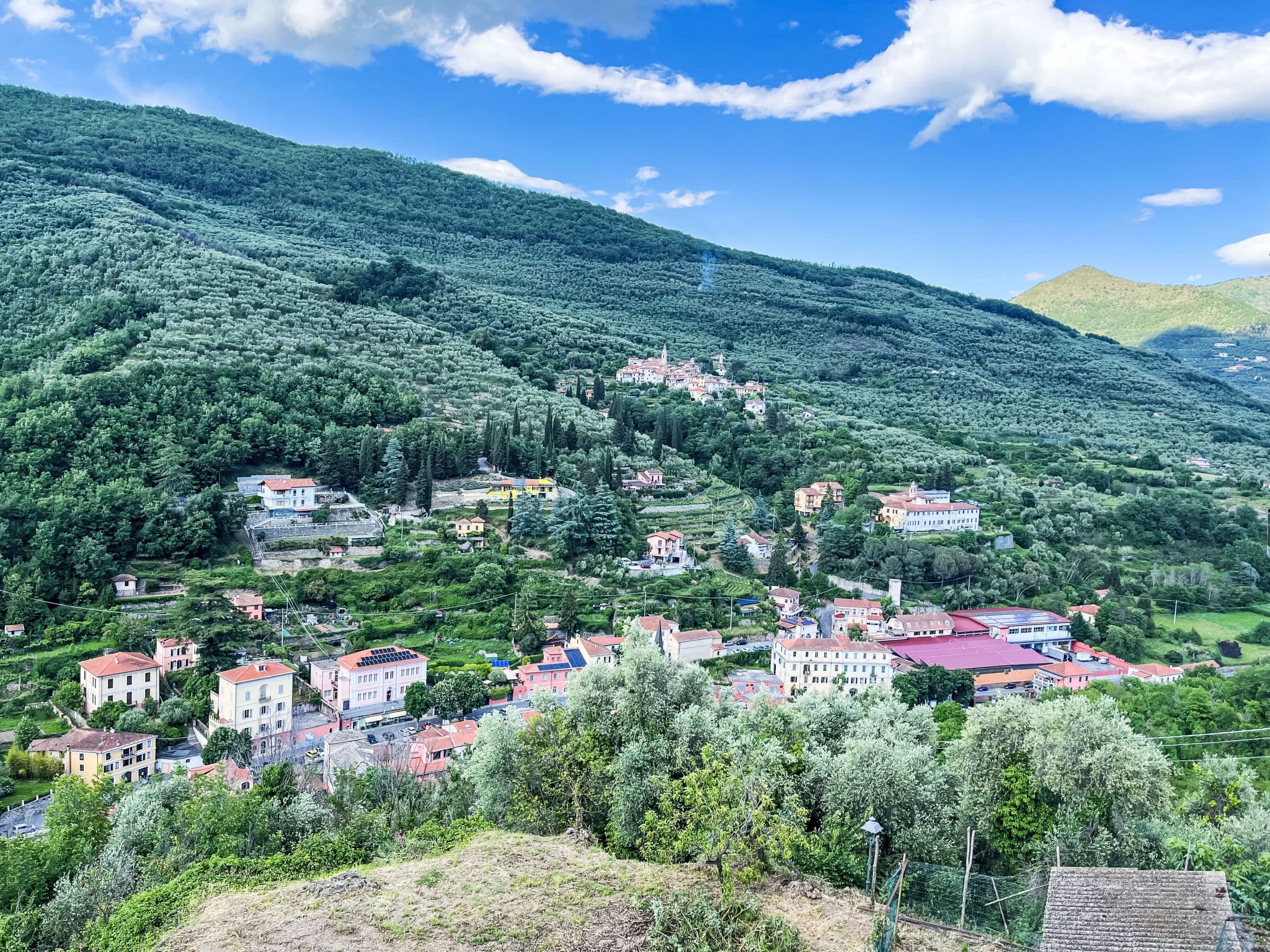 View
