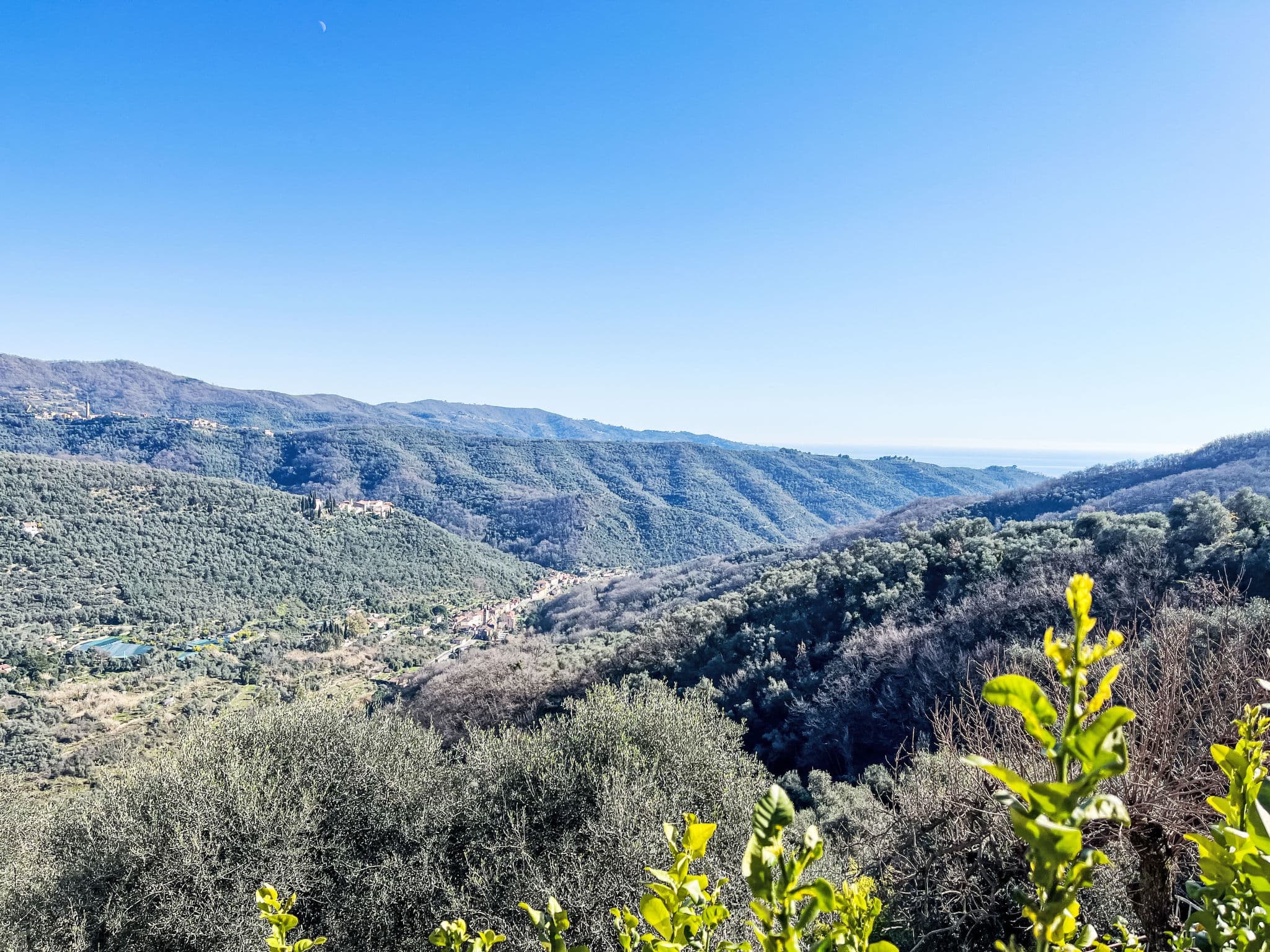 View