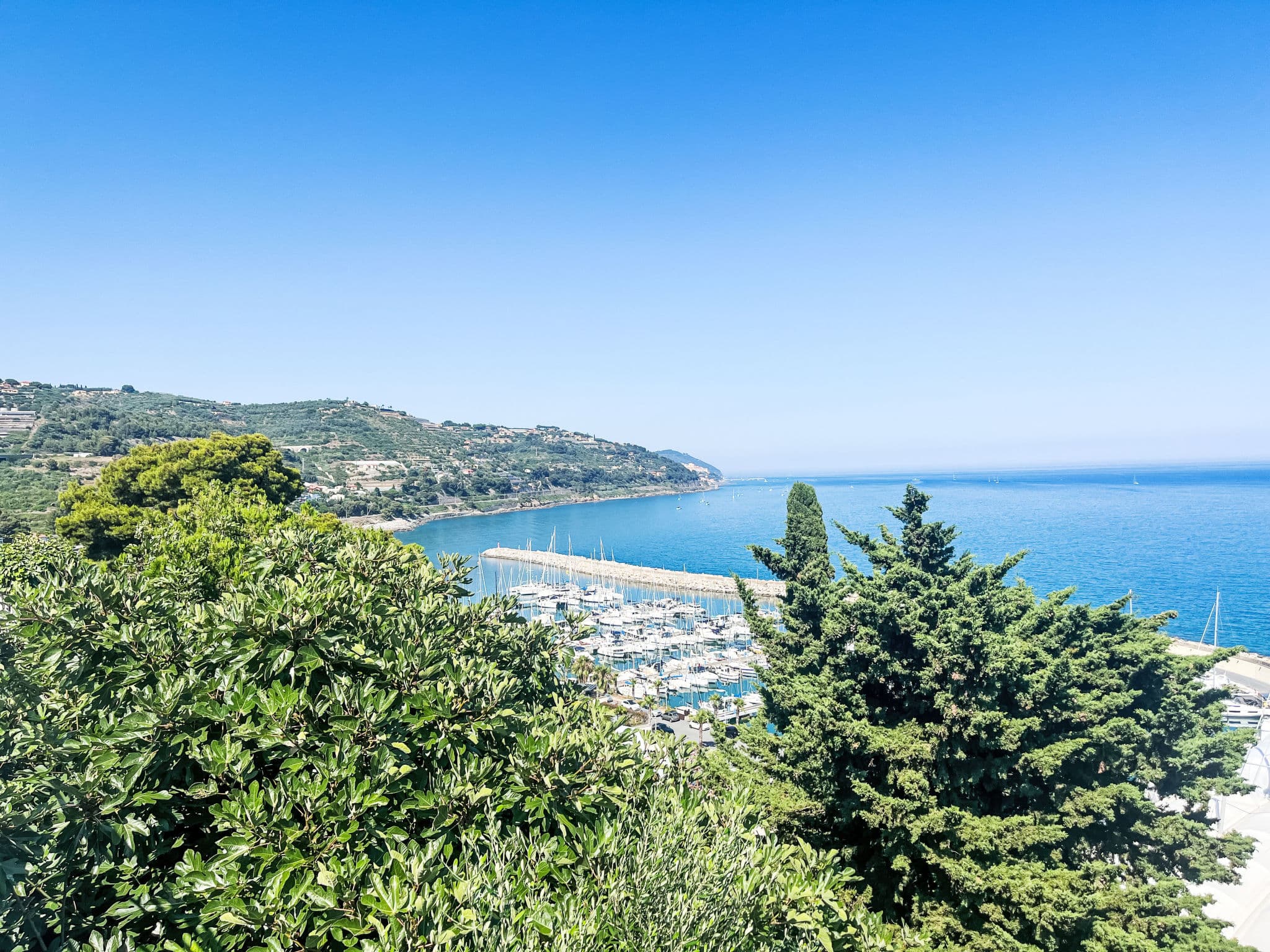View