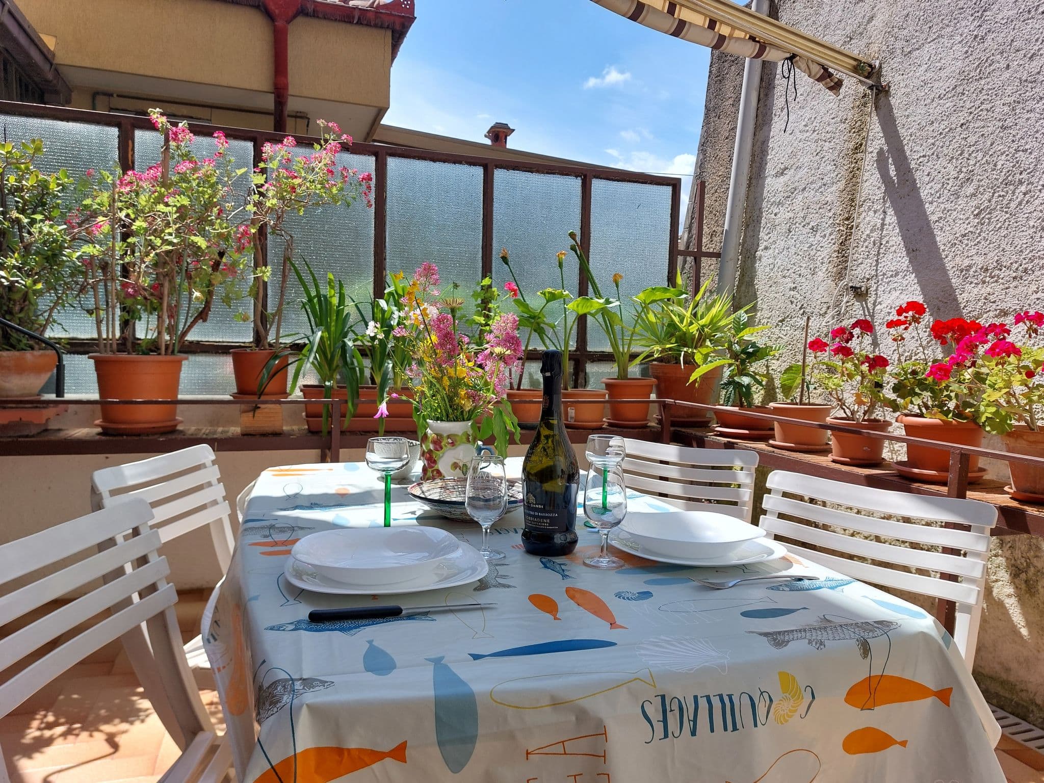 Terrace