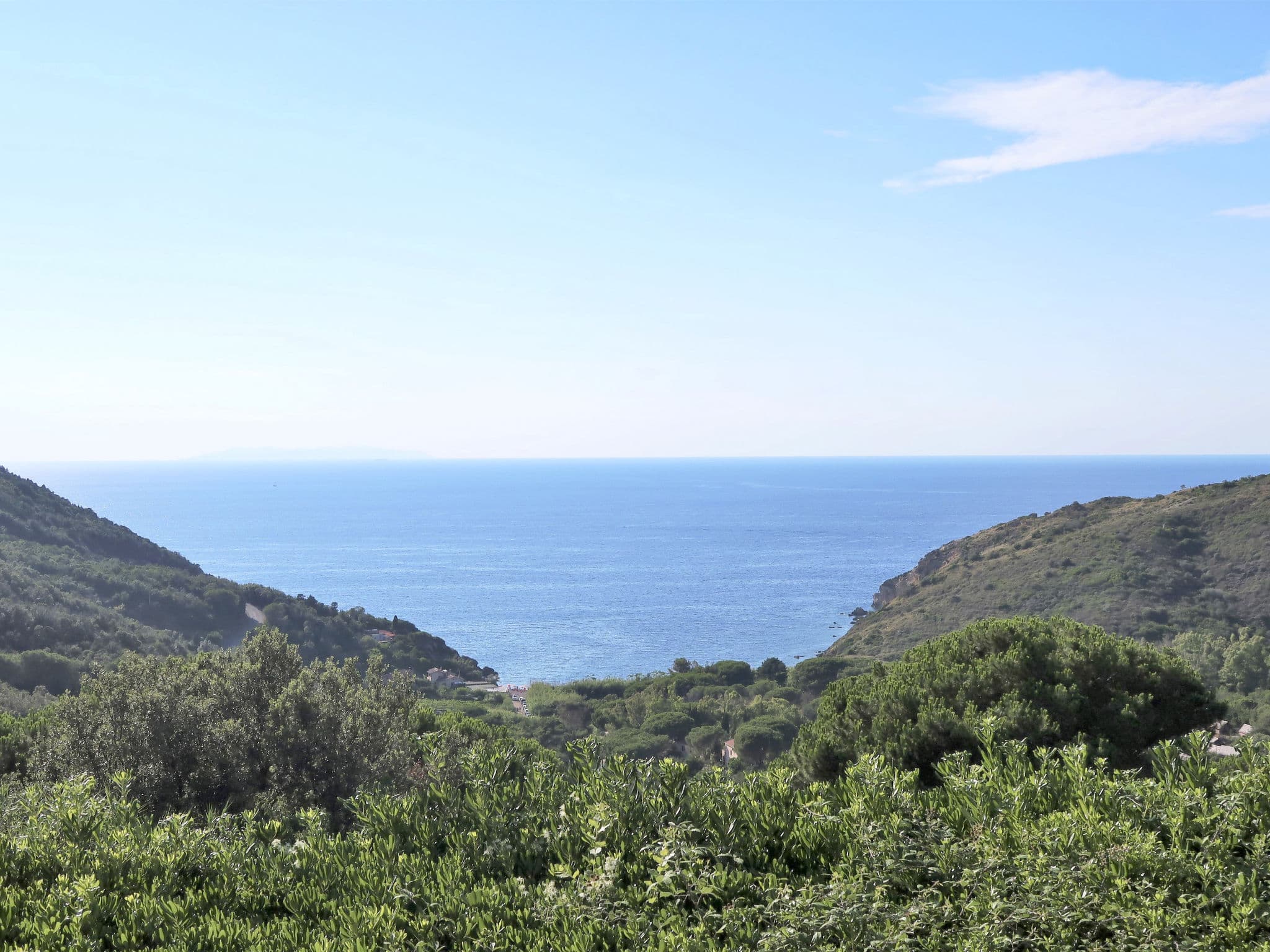 View