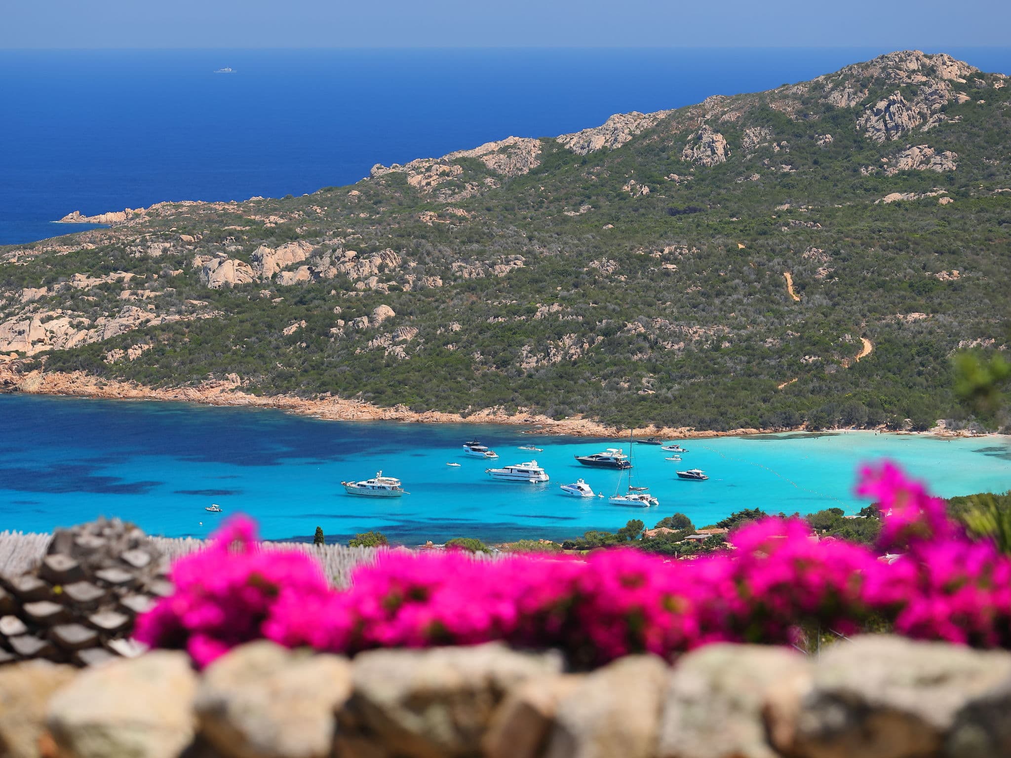 View