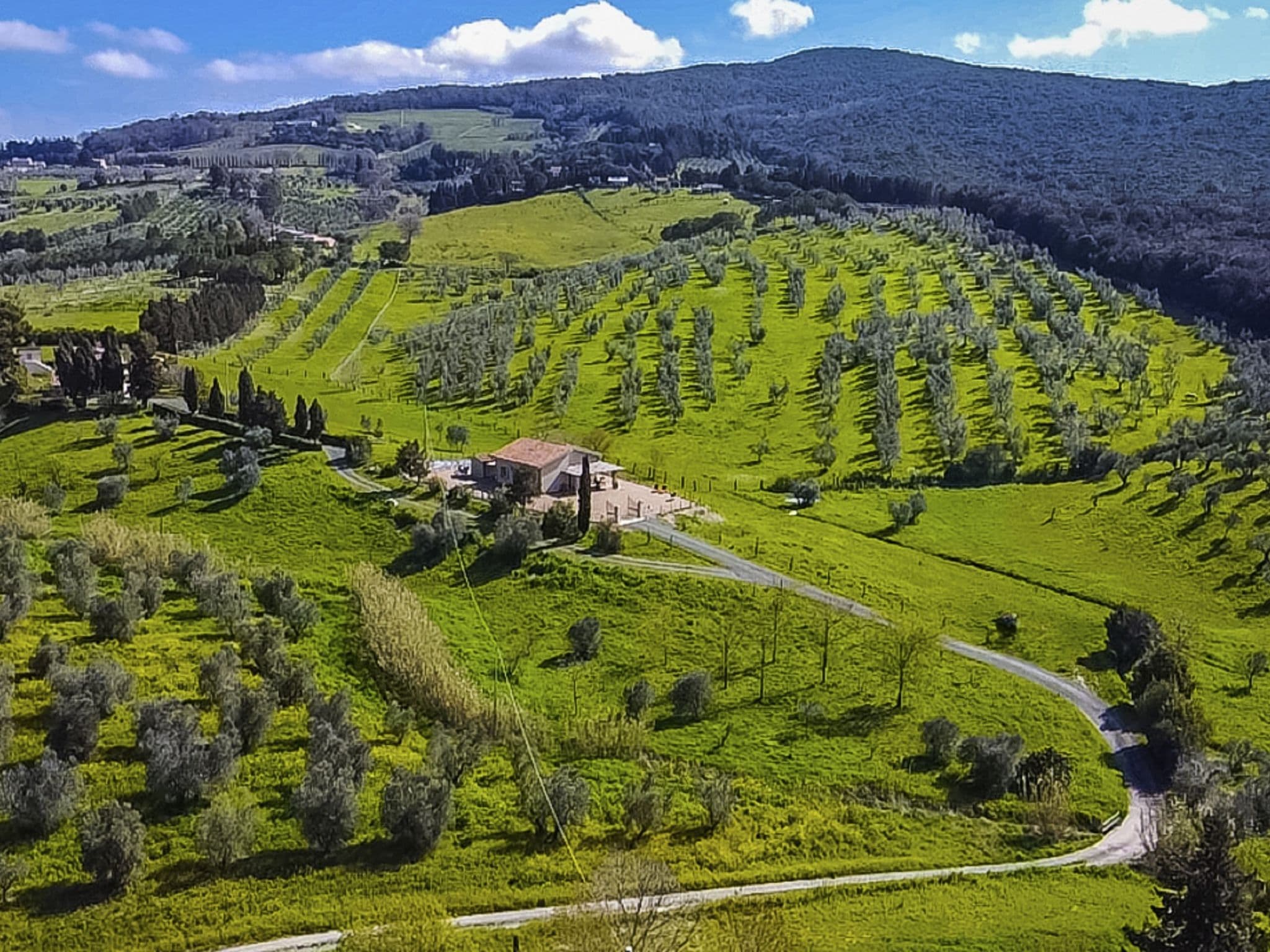 Aerial photography