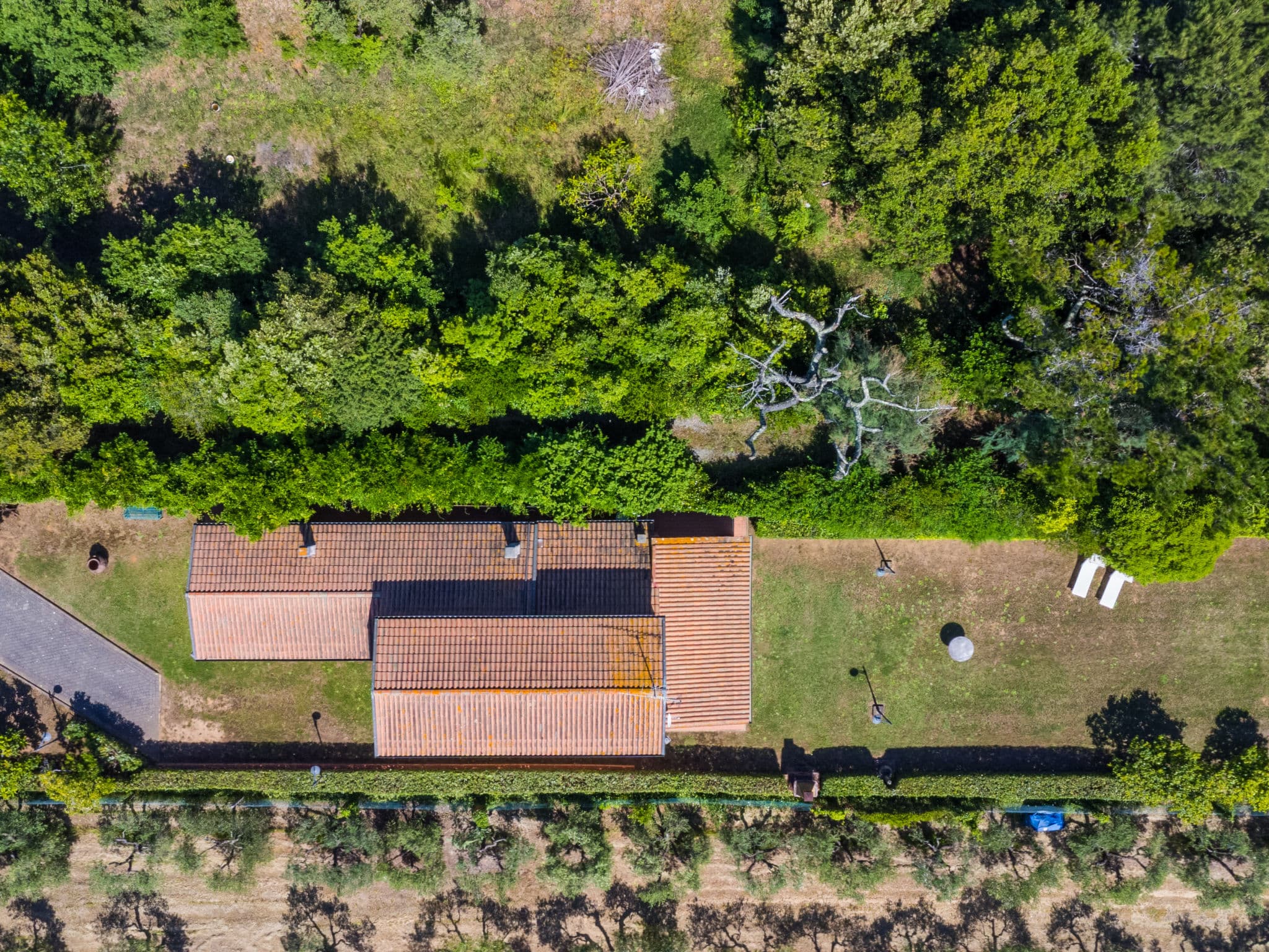 Aerial photography