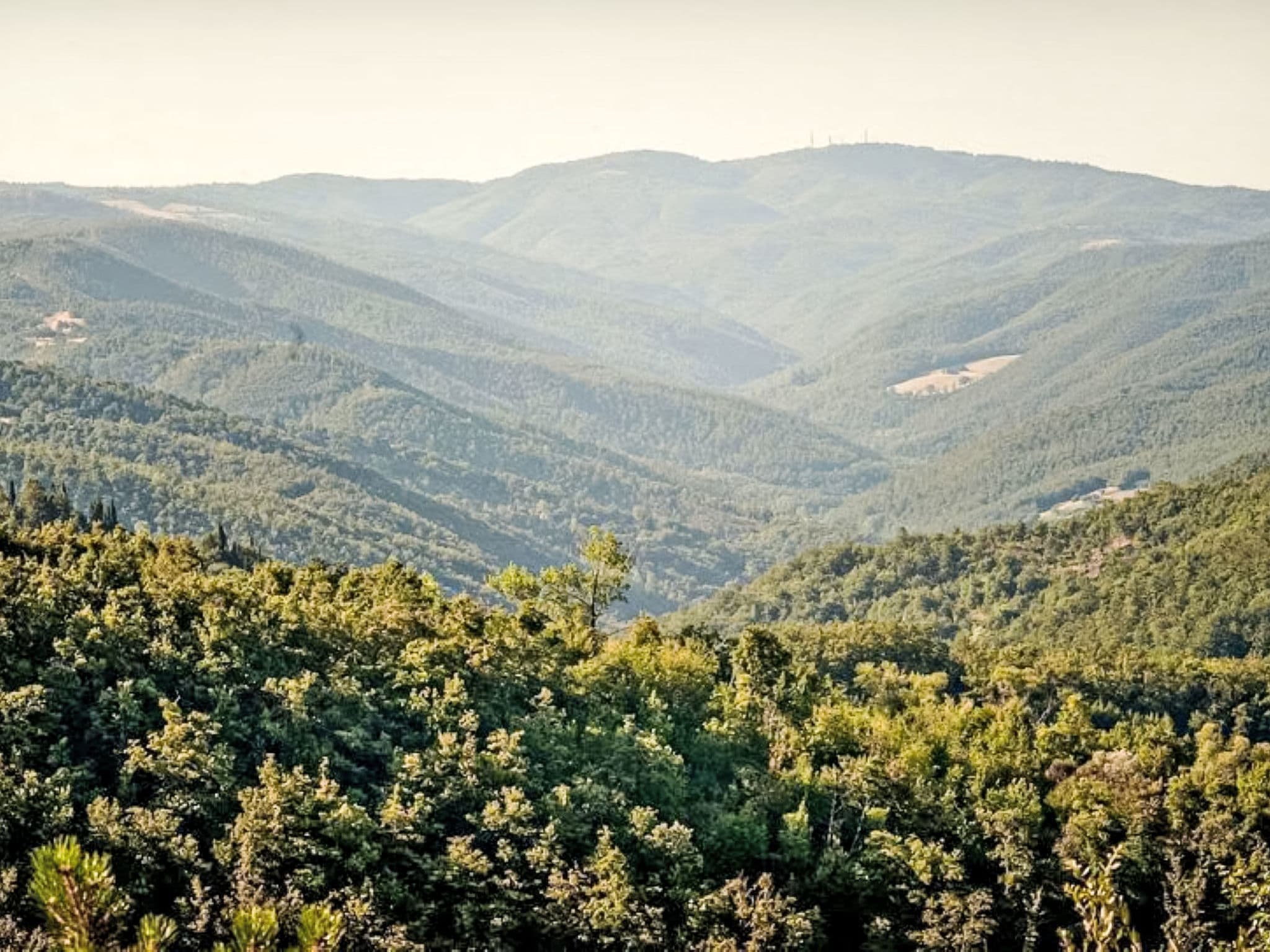 View