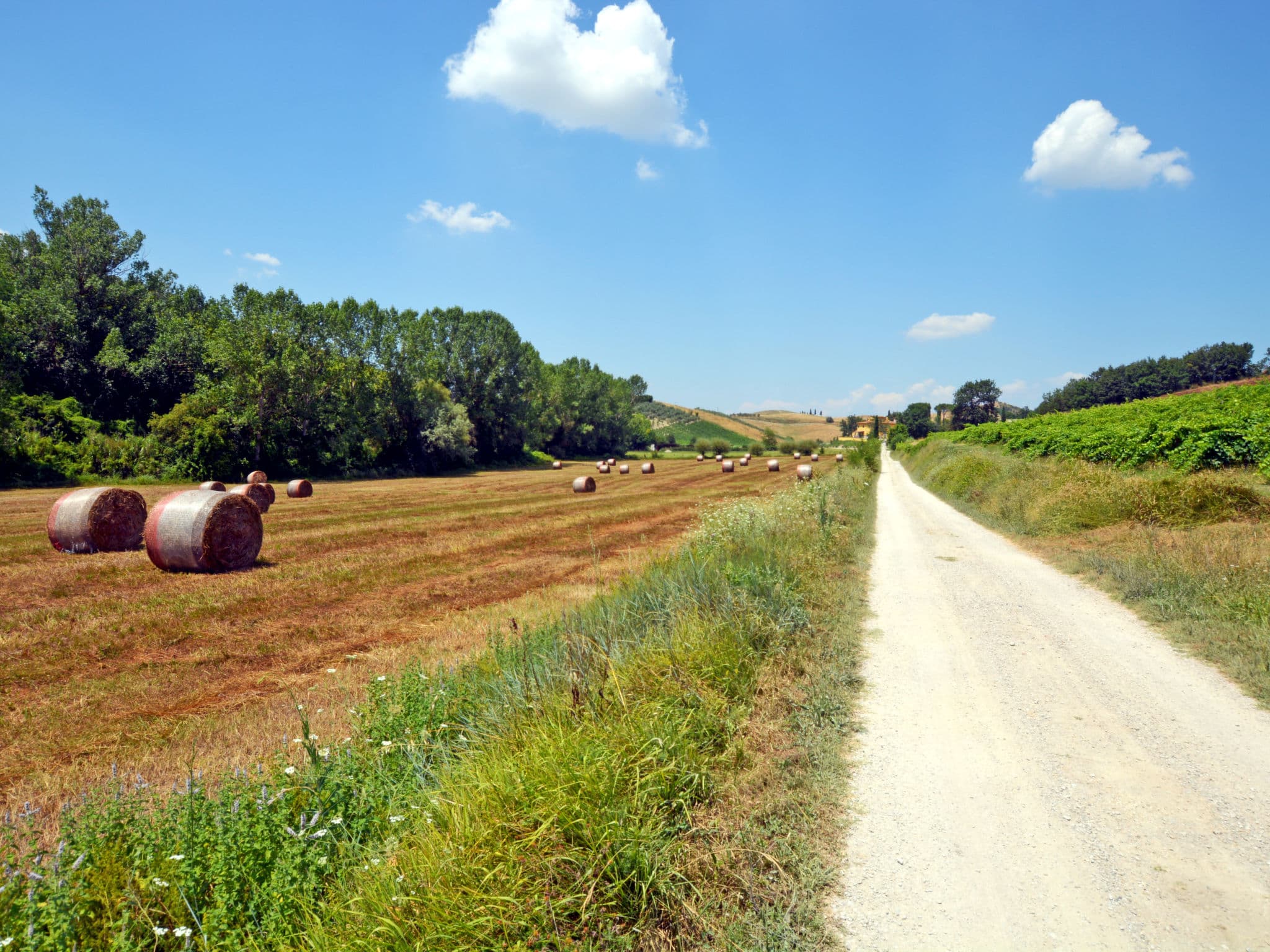 Place