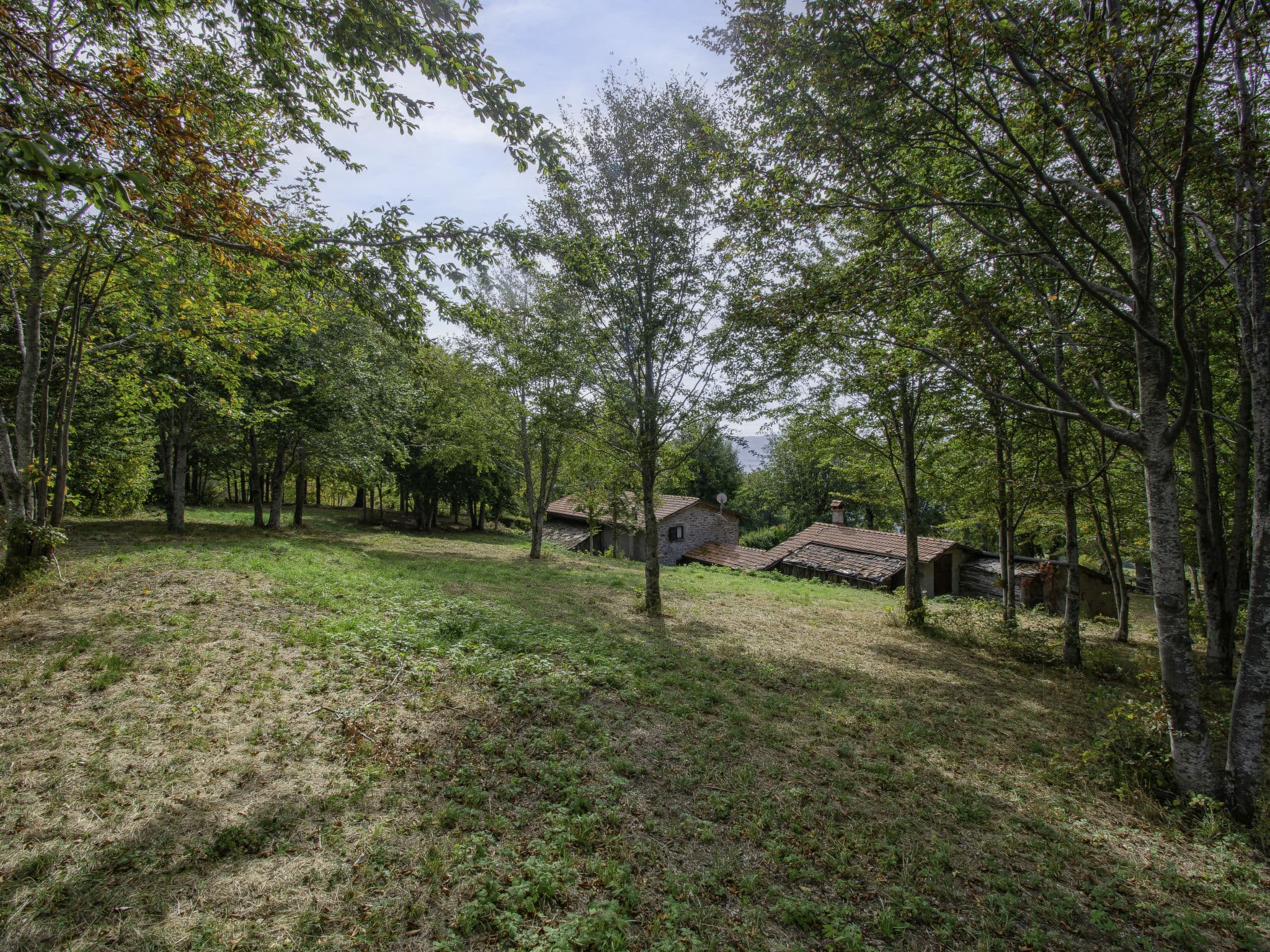 Outdoor