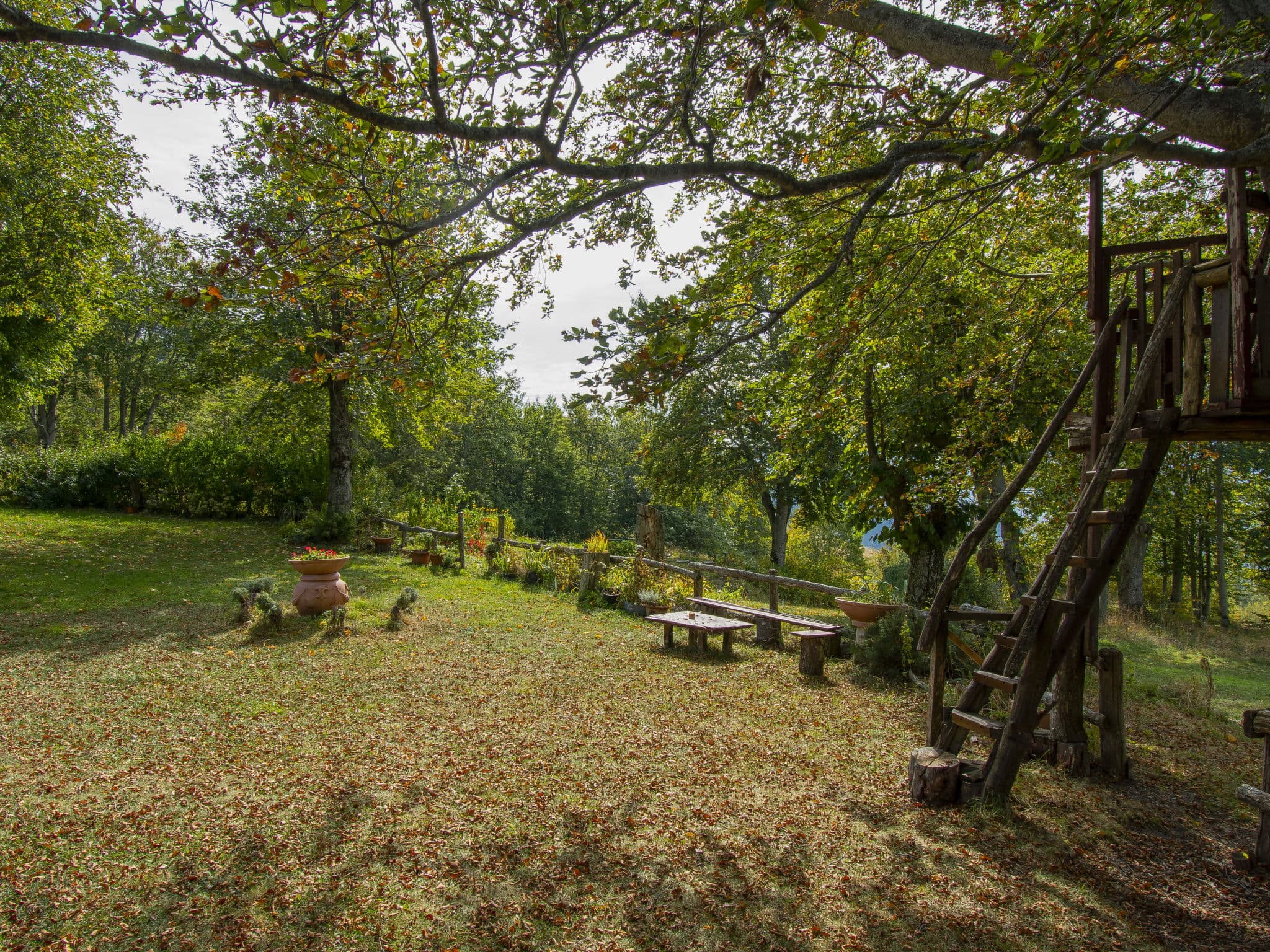 Outdoor