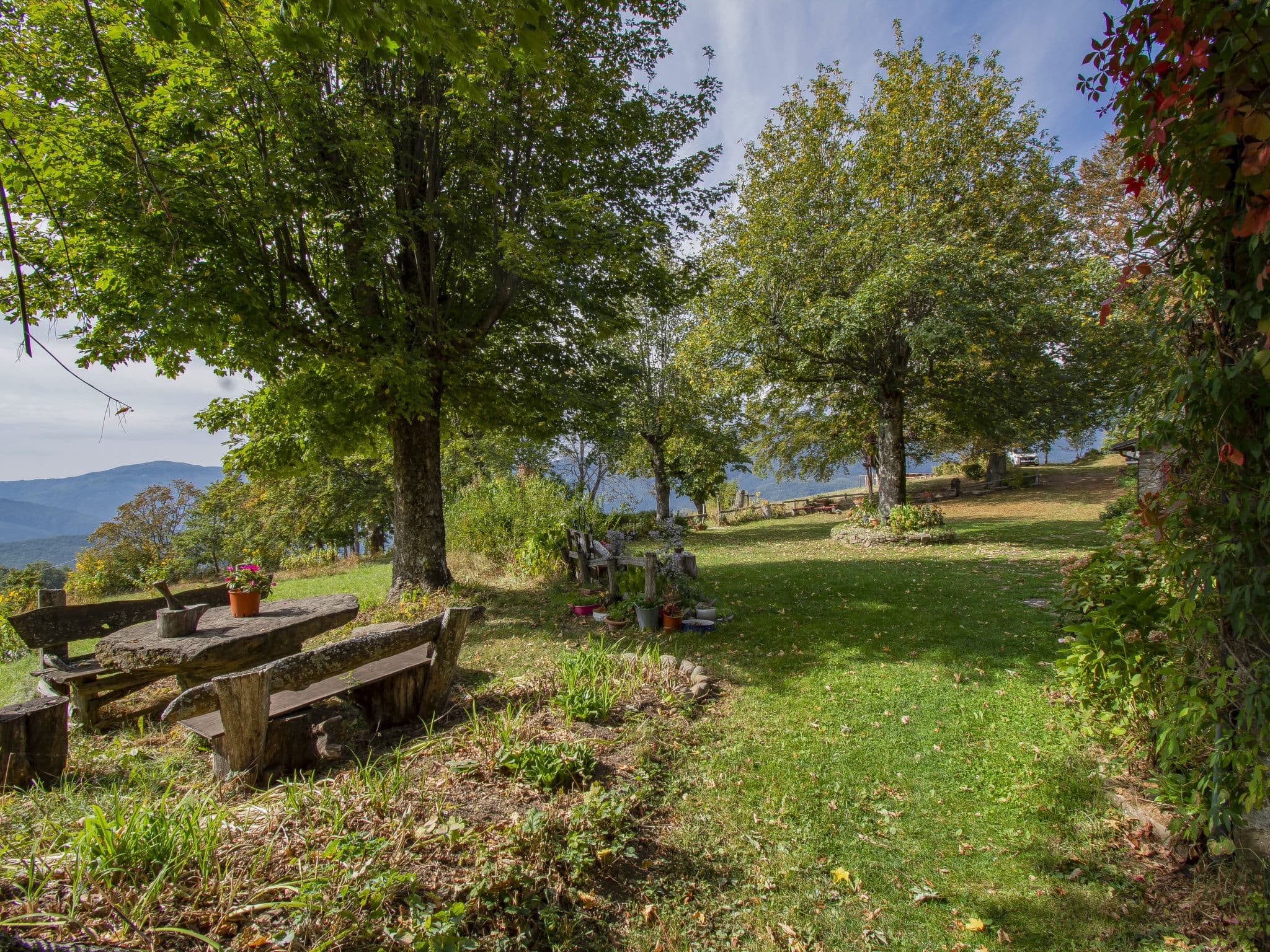 Outdoor