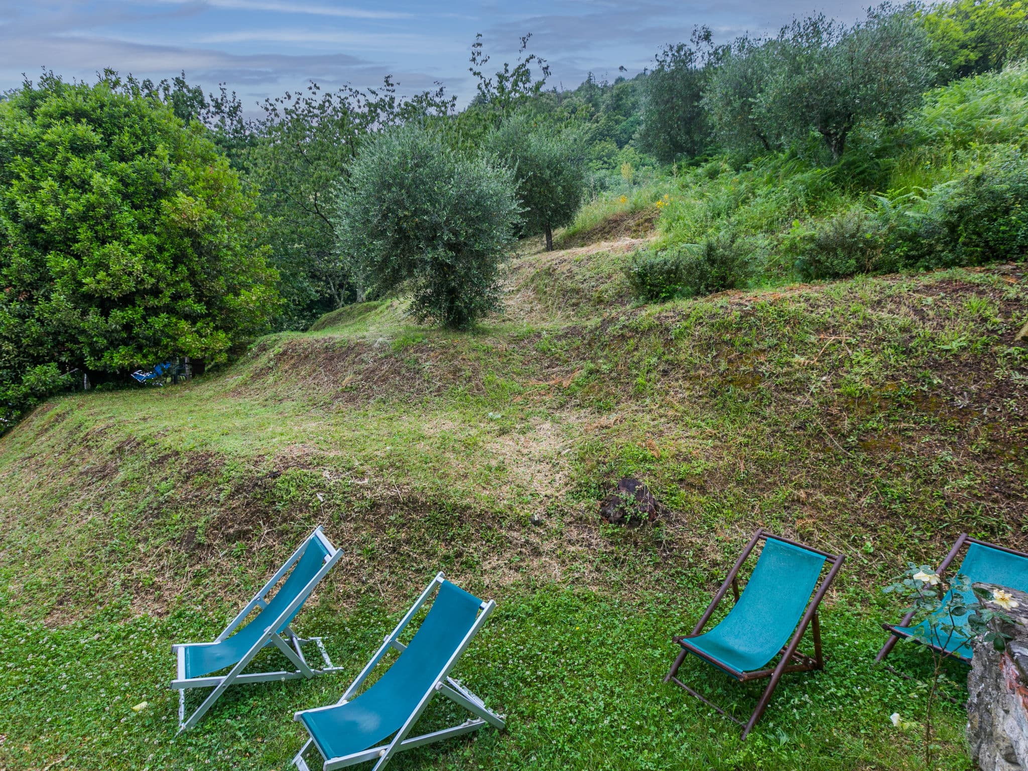 Outdoor