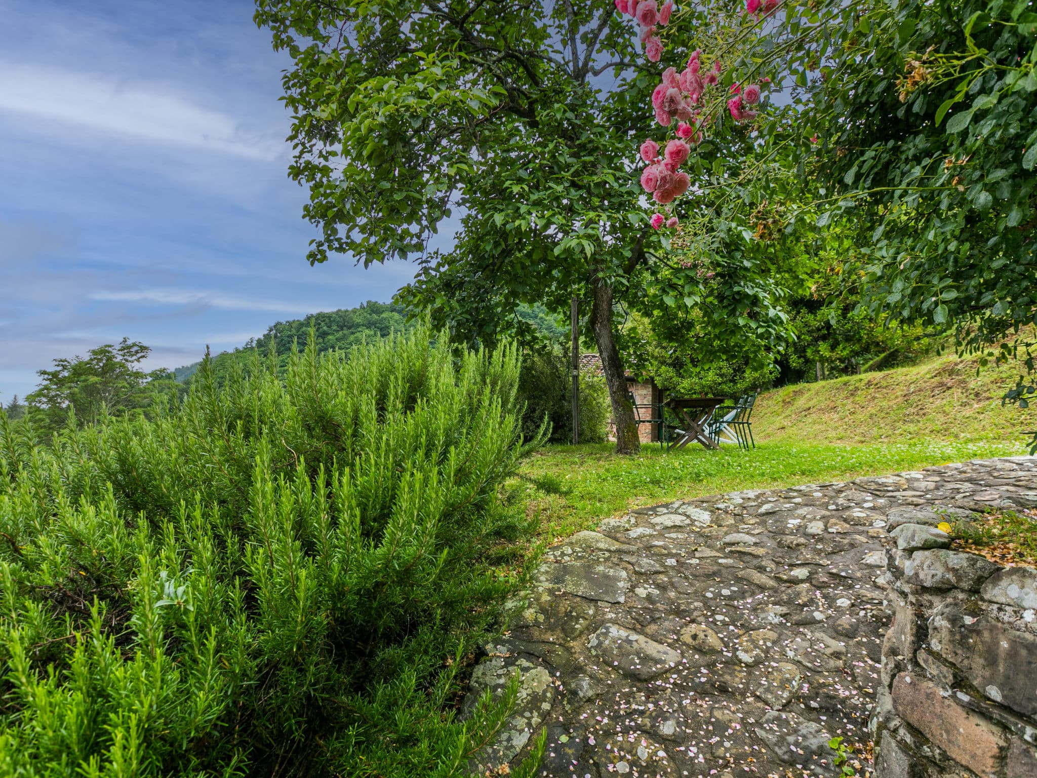 Outdoor
