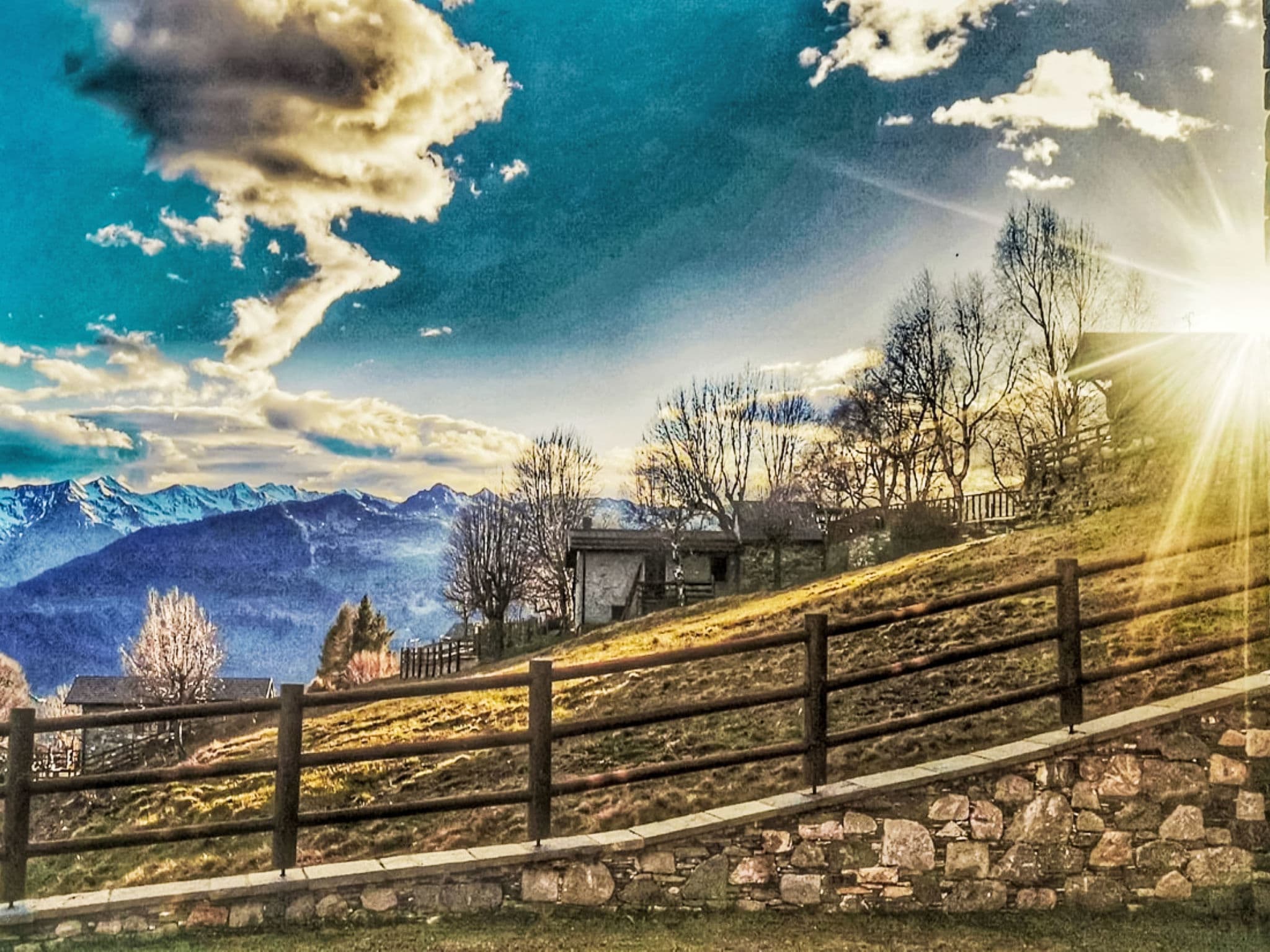 View