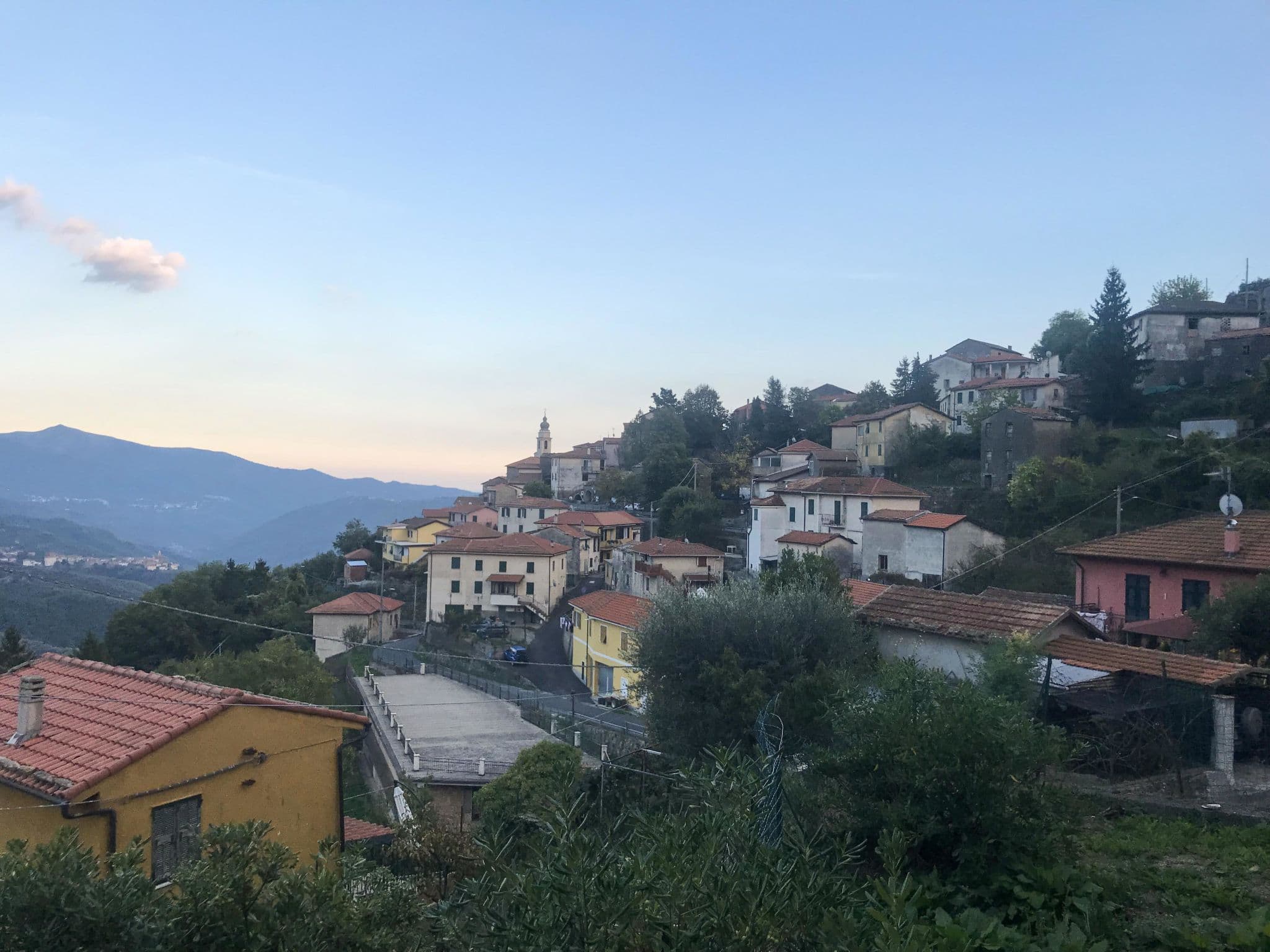 View