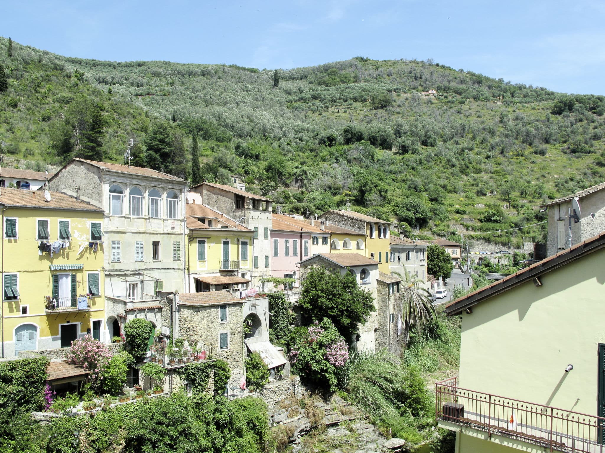 View