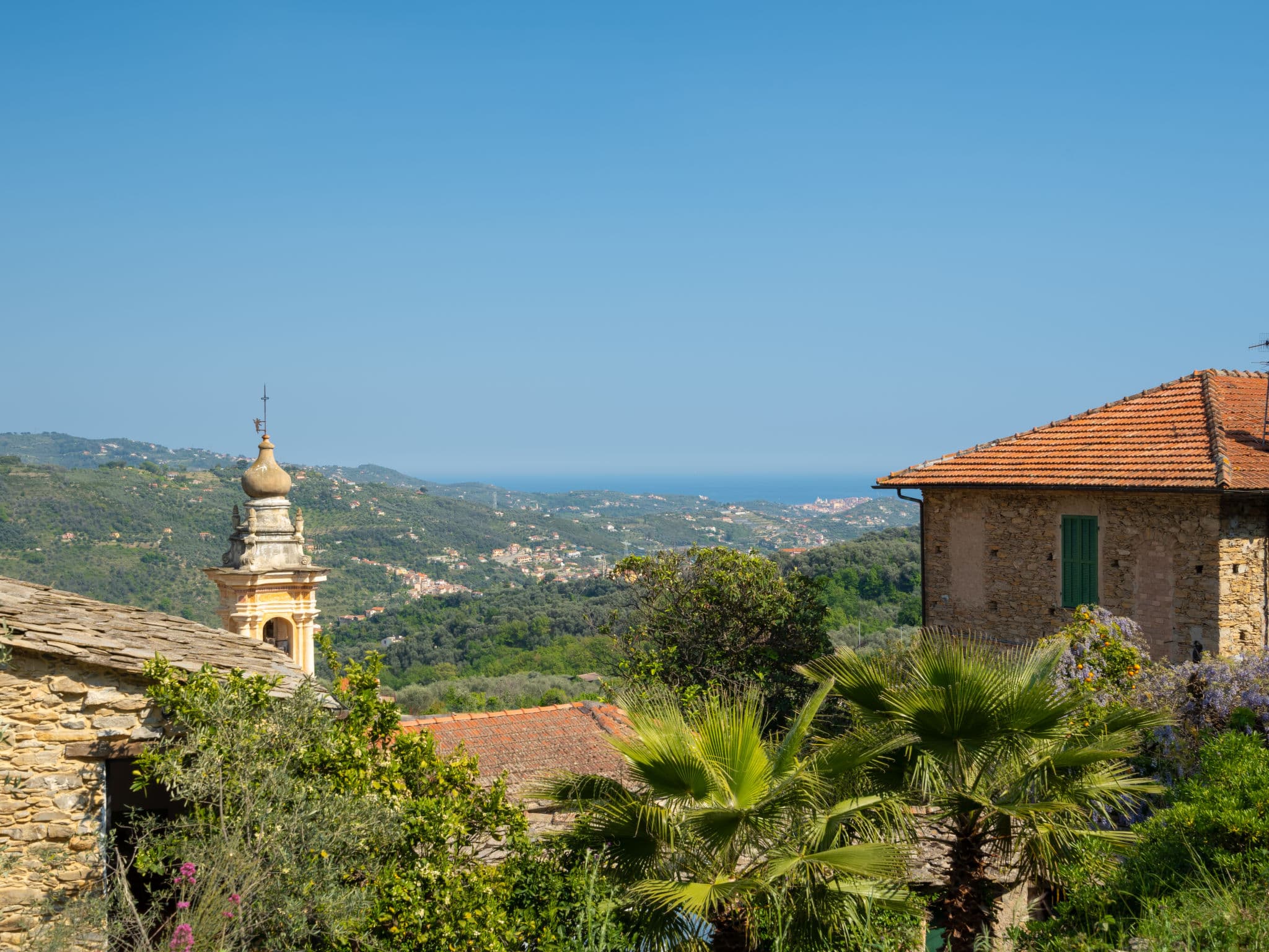 View