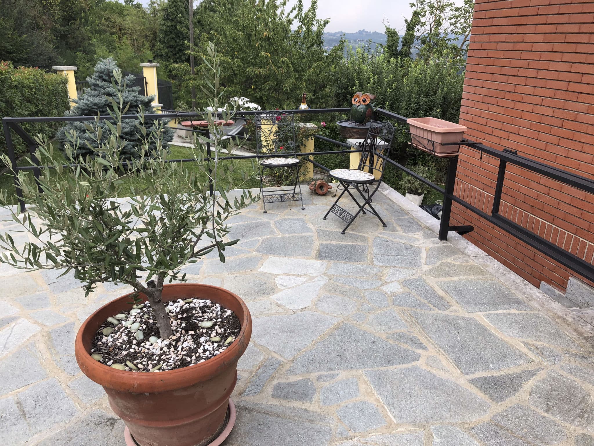Terrace