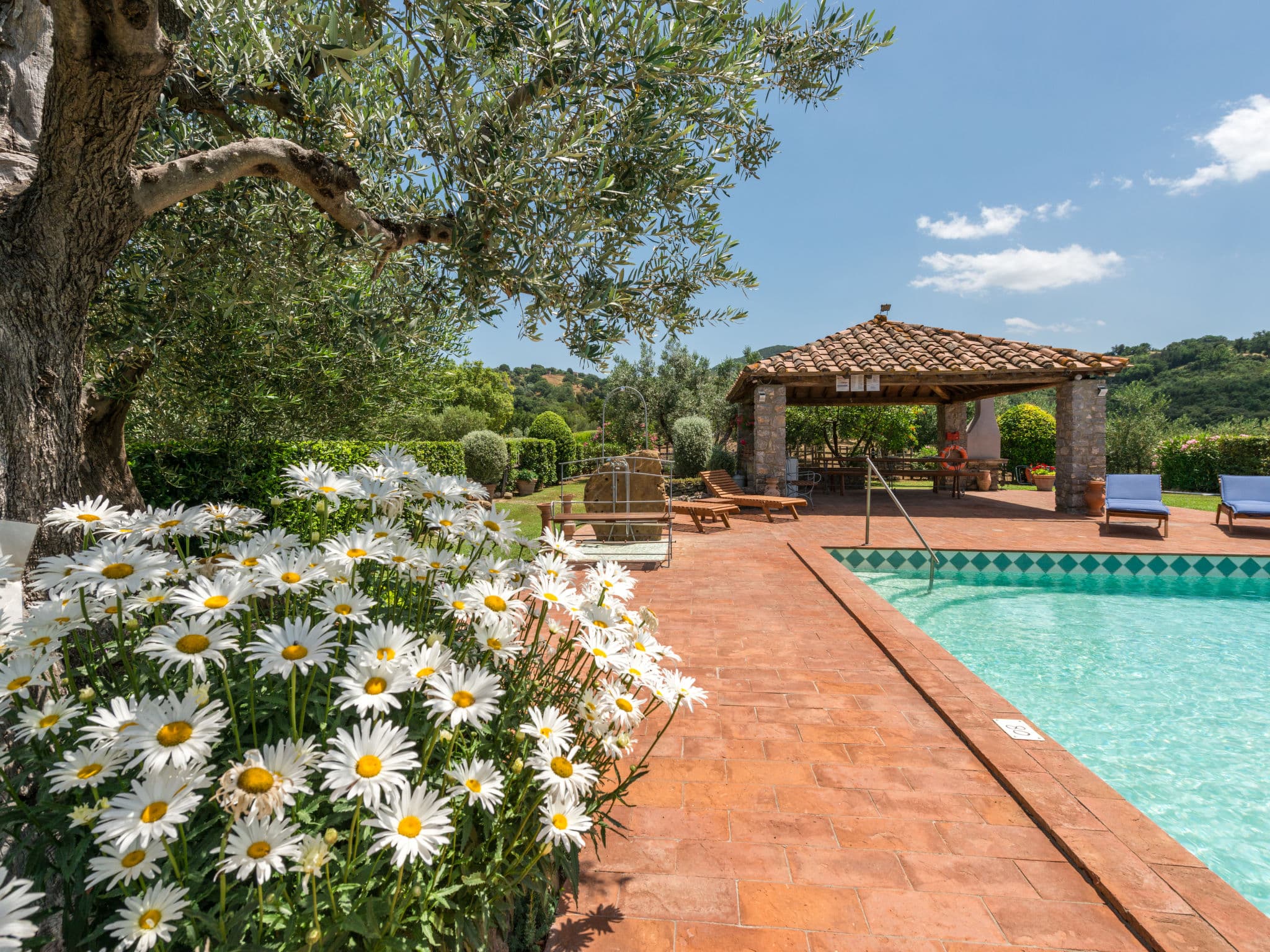 Pool Outdoor
