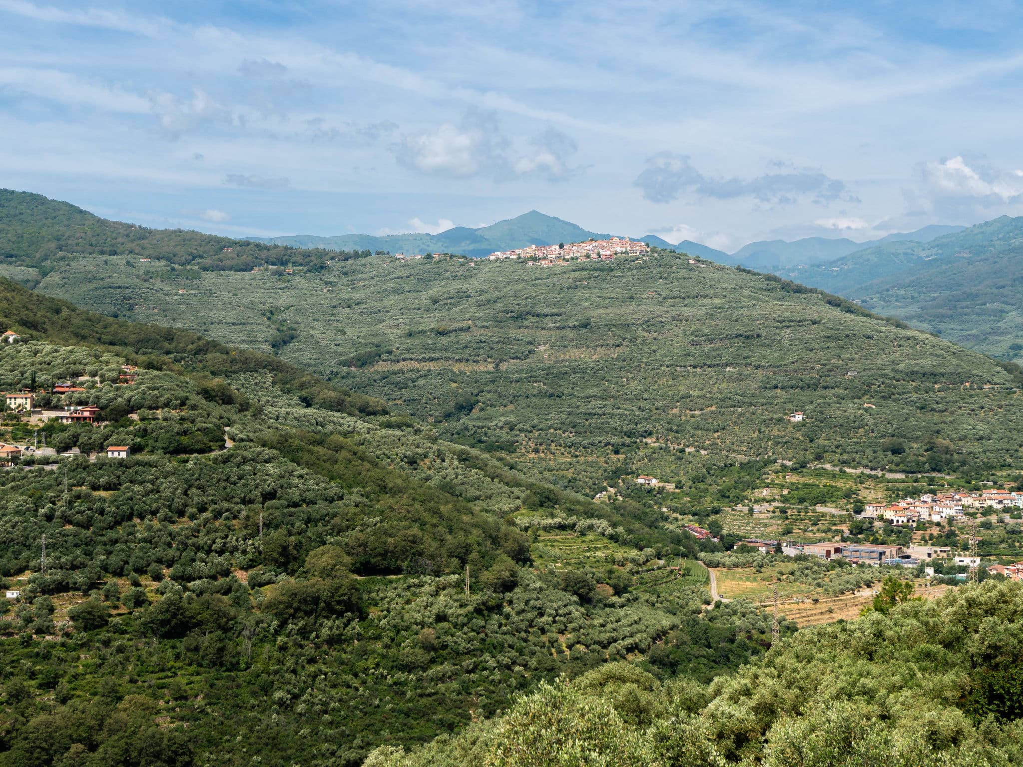View