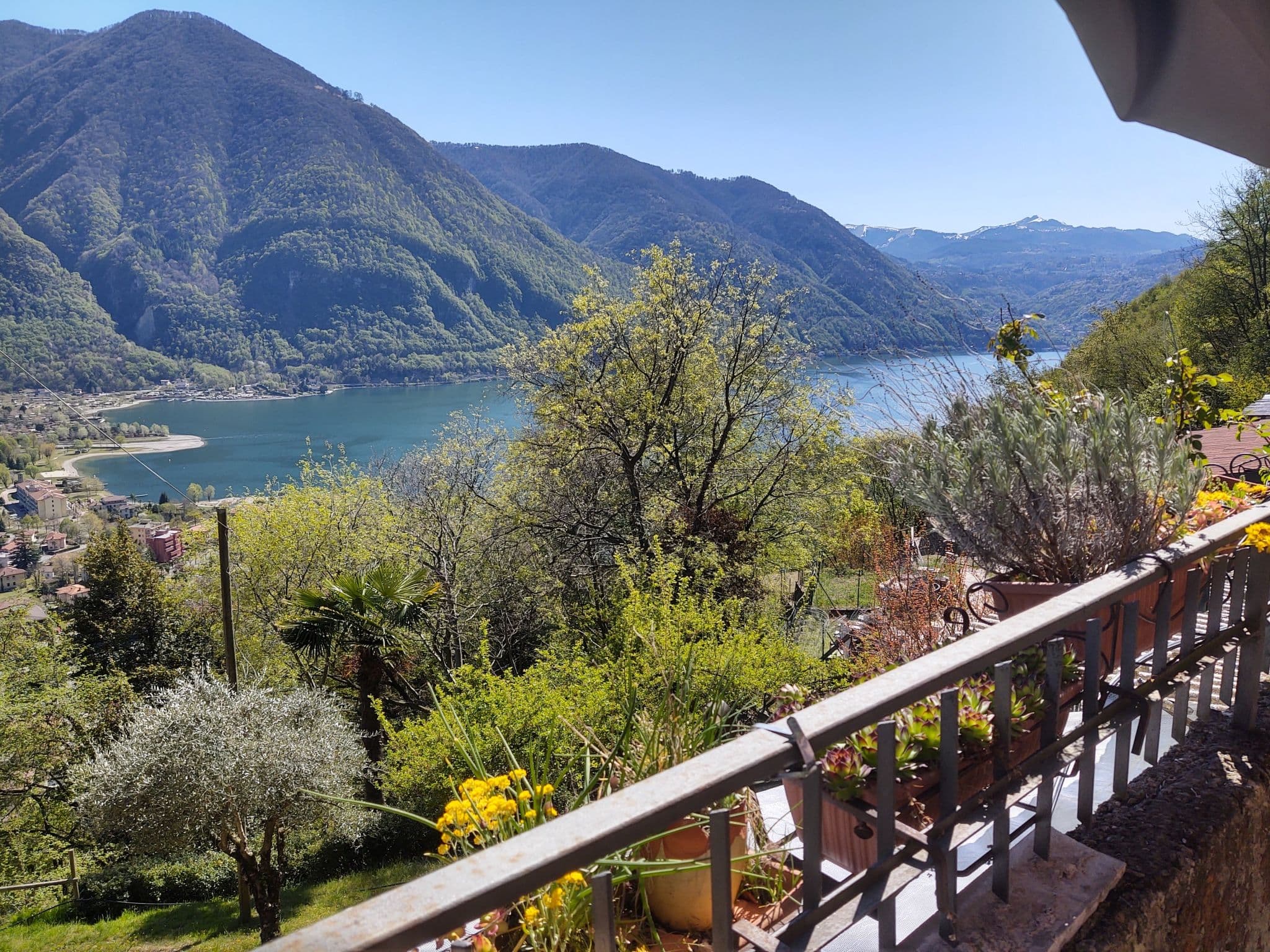 View