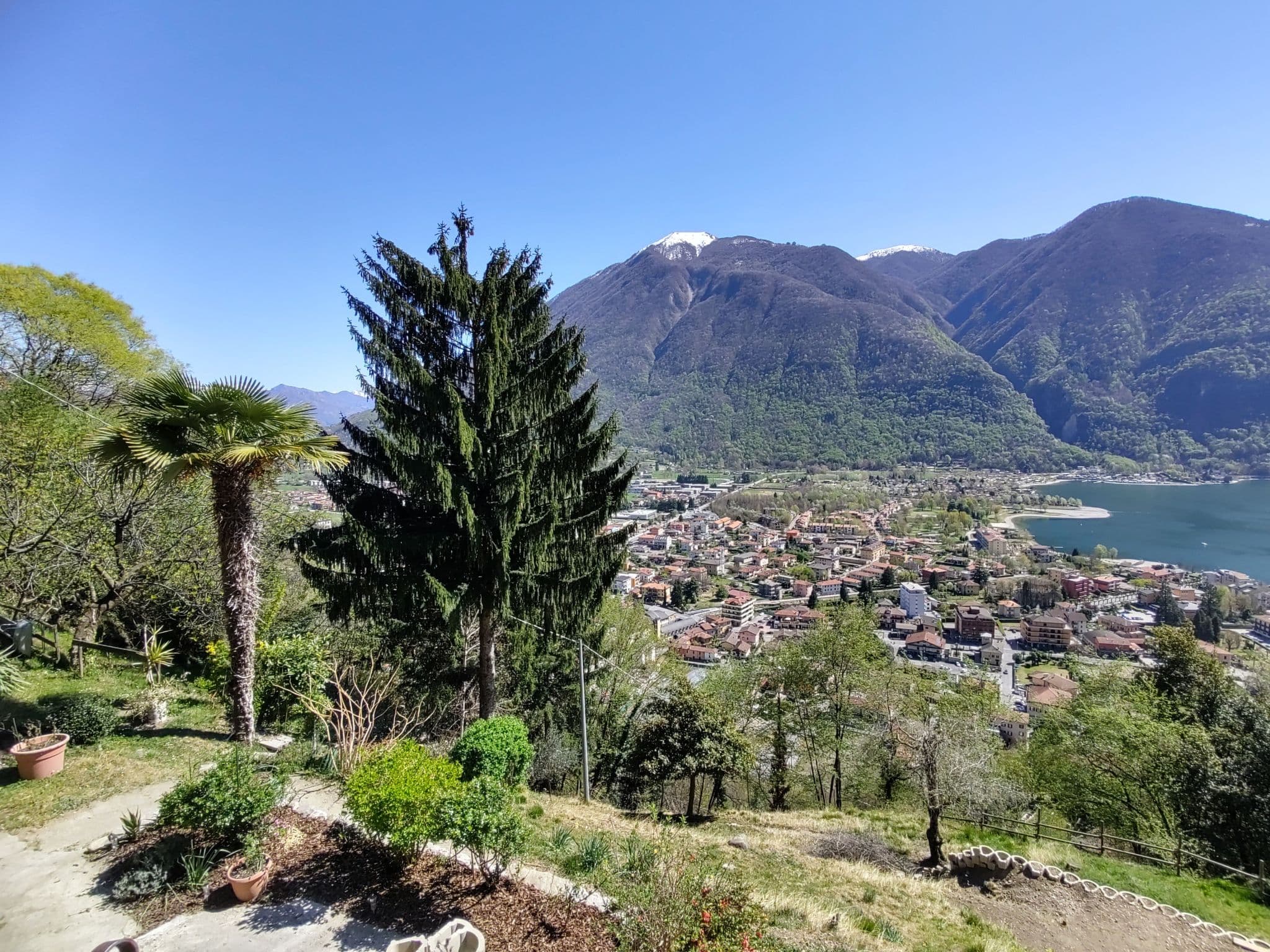 View