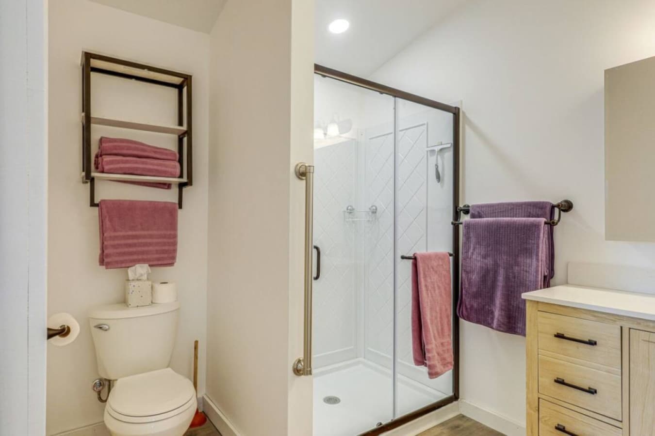 Main Floor Master Suite bath
