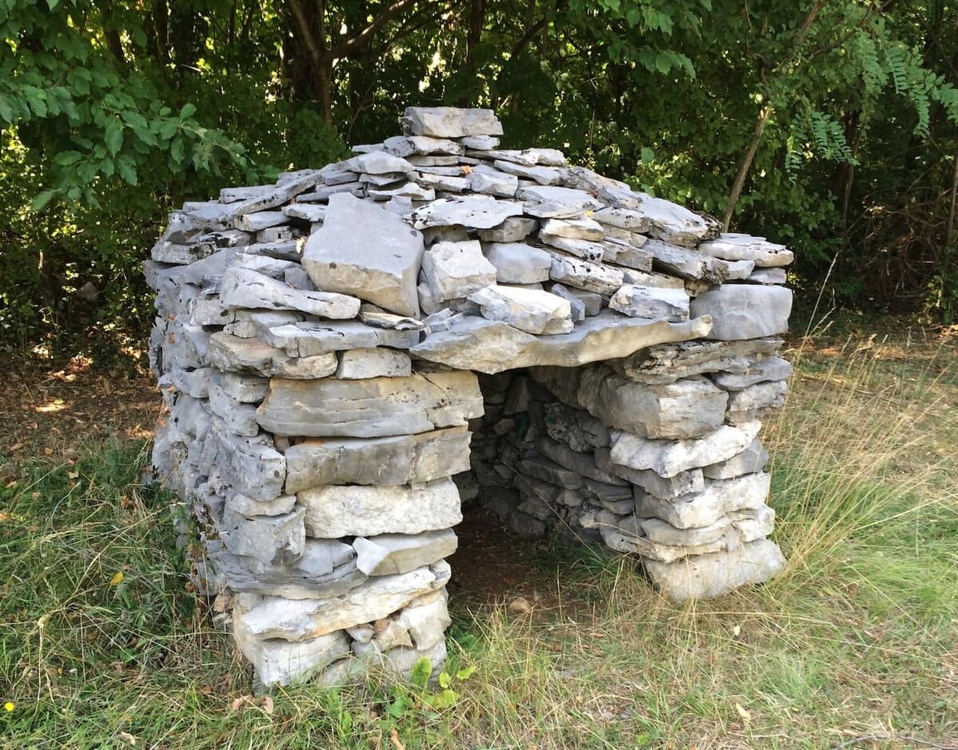 Gallery Image 43