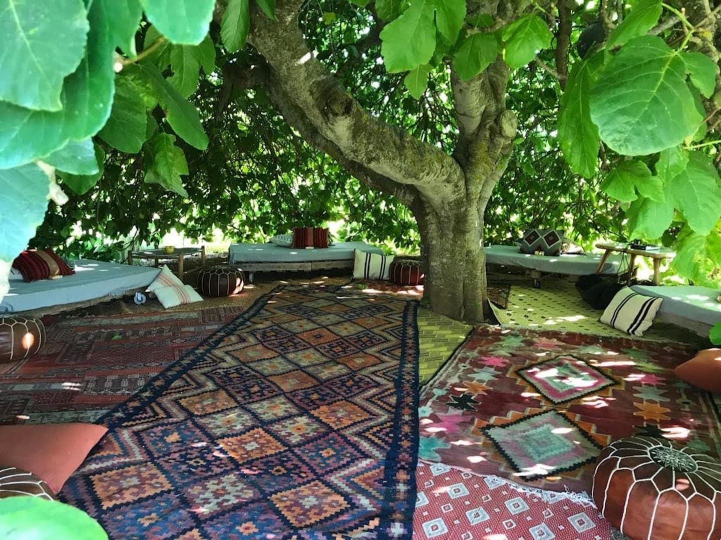 Gallery Image 52