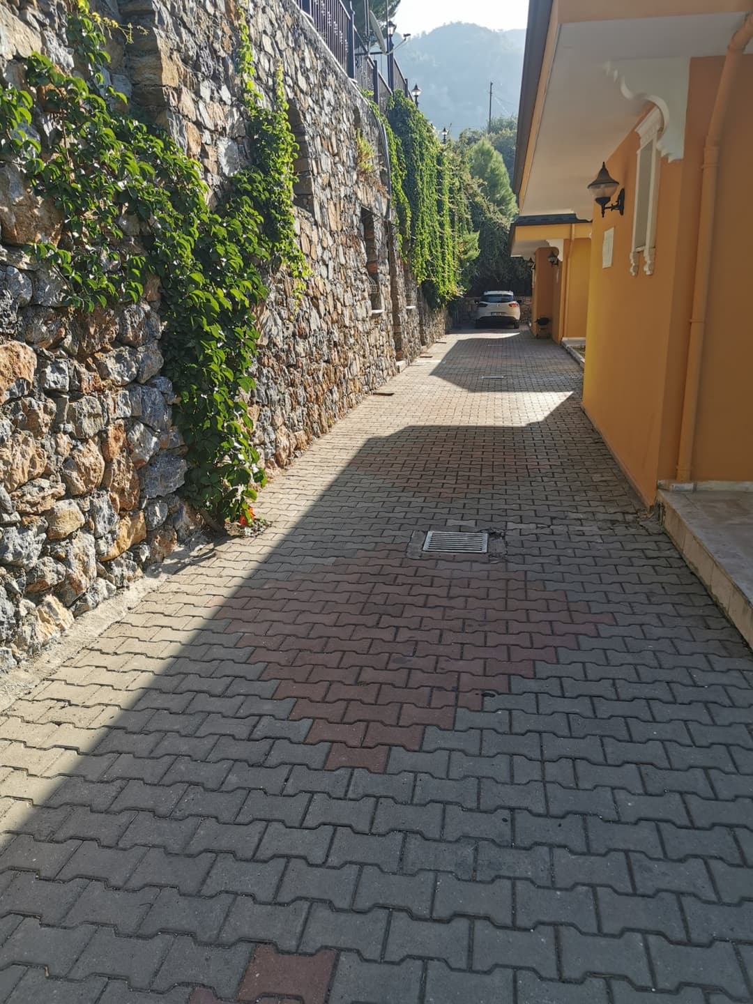 Gallery Image 67