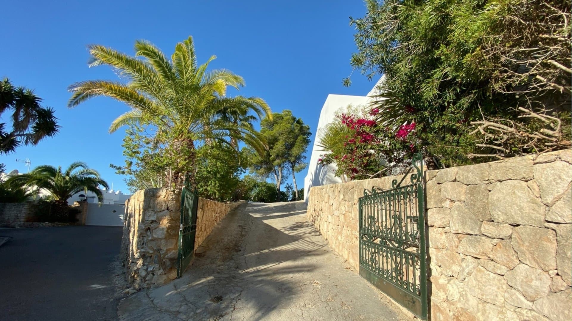 Gallery Image 50
