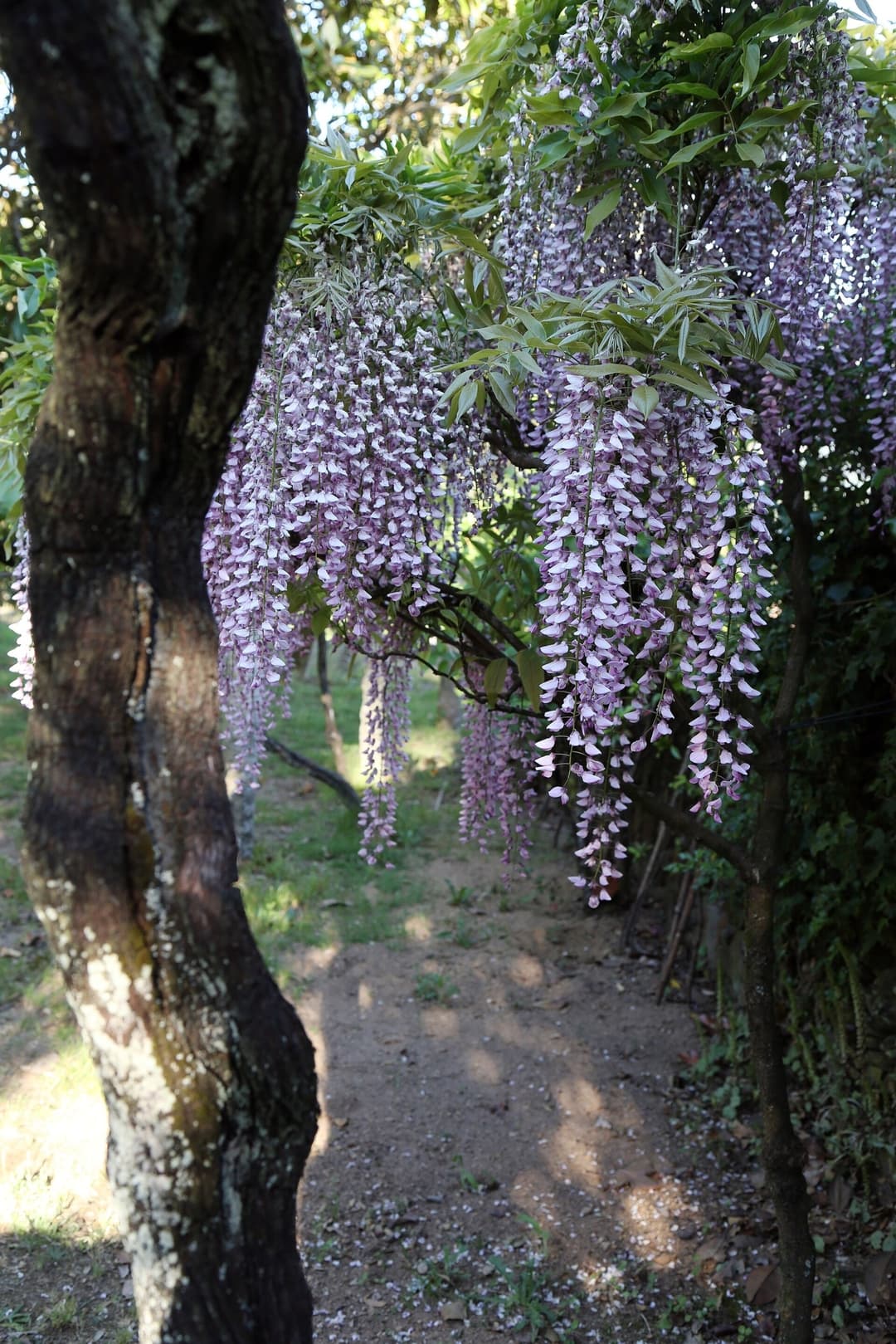 Gallery Image 30