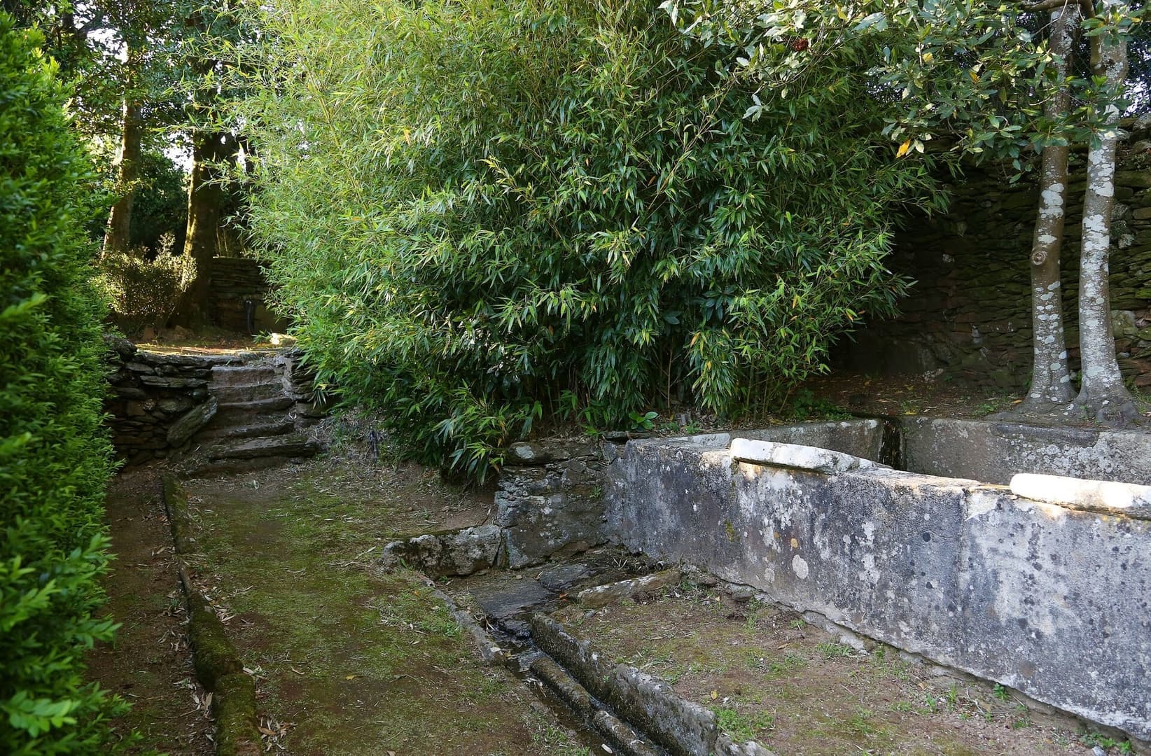 Gallery Image 31