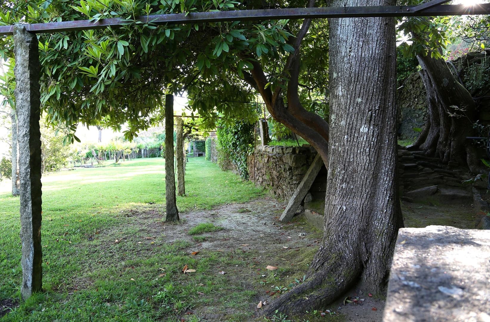 Gallery Image 32
