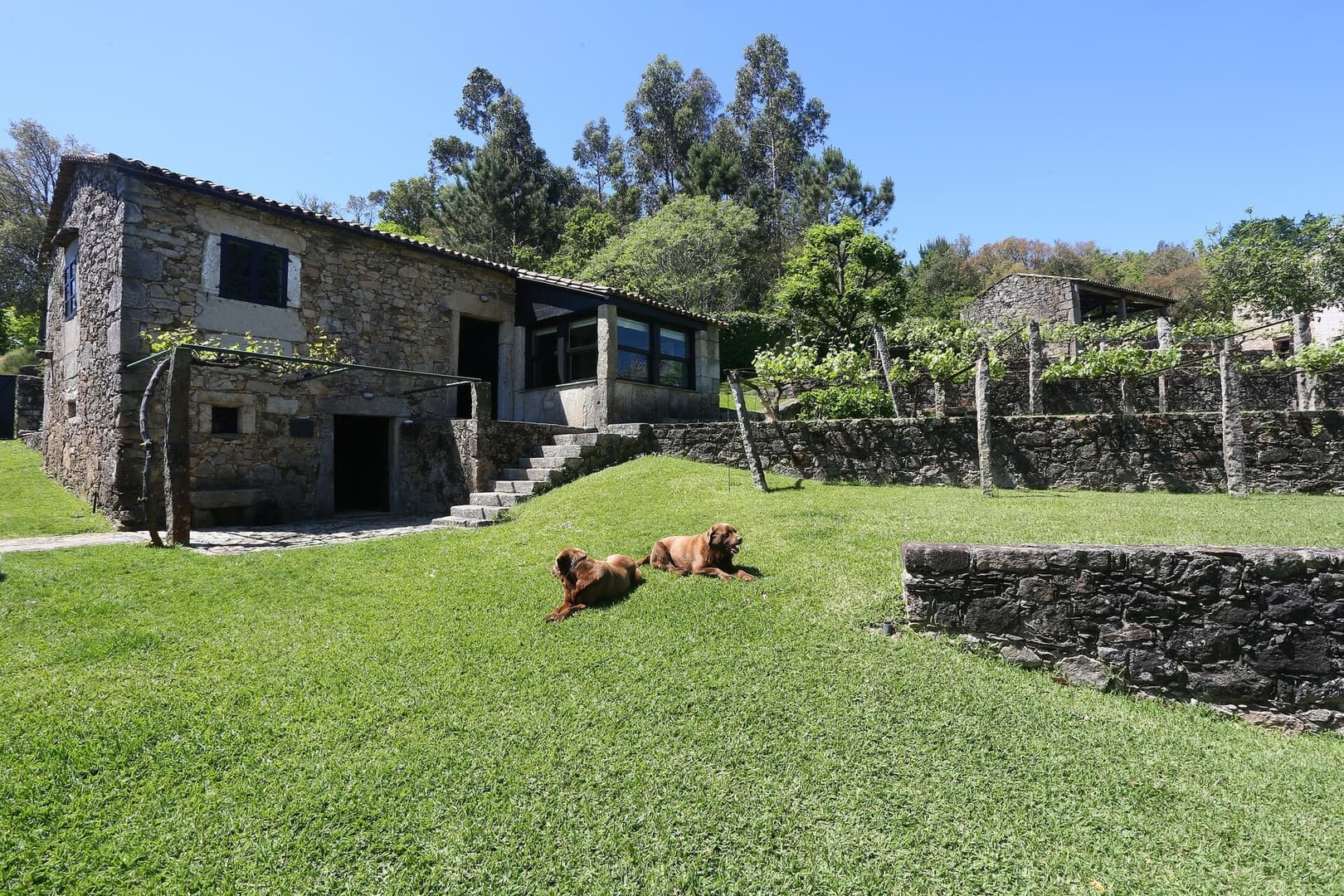 Gallery Image 13