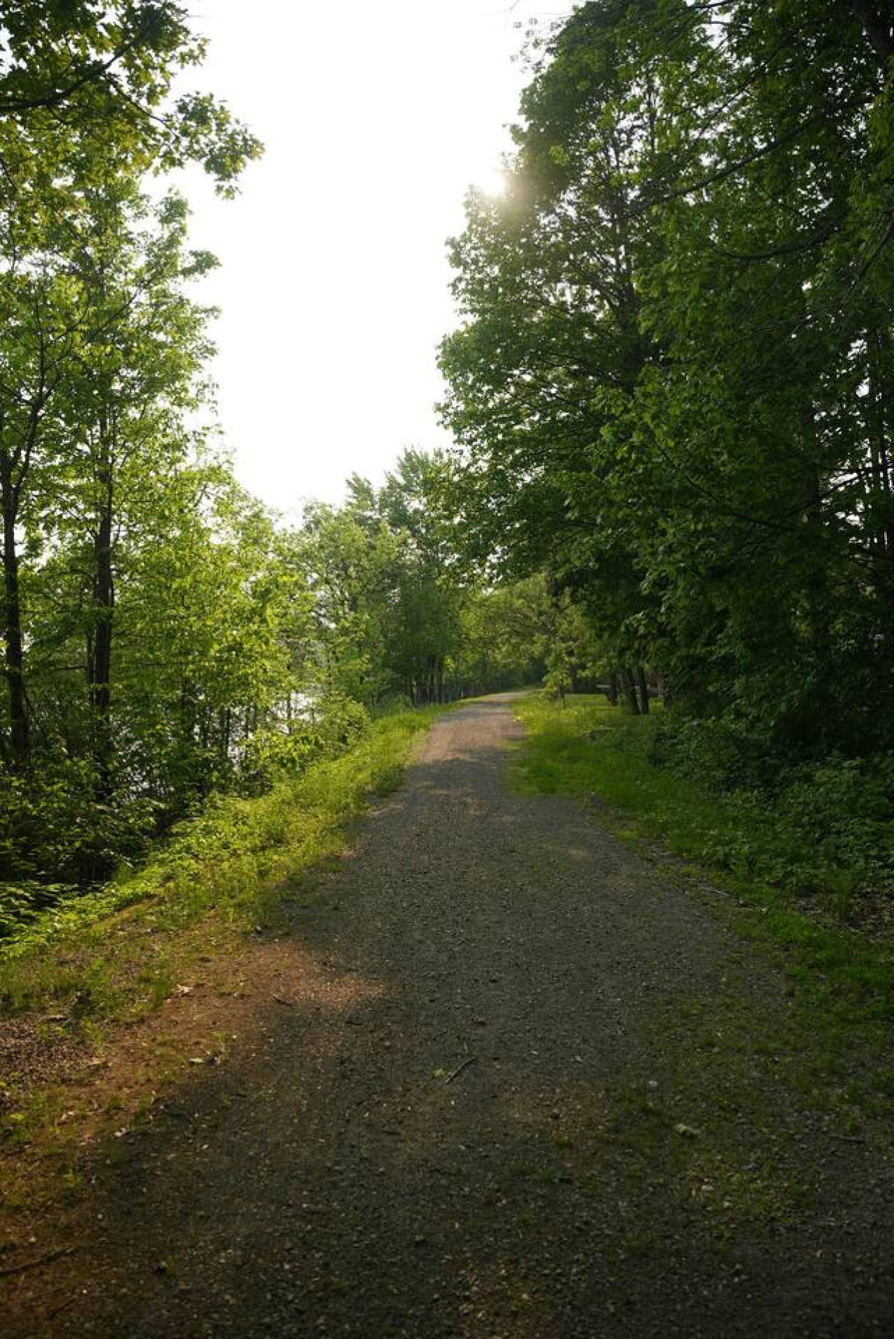 Gallery Image 18