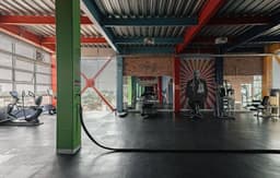 The Urban Muse suite