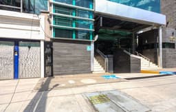 The Midnight Bloom Suite