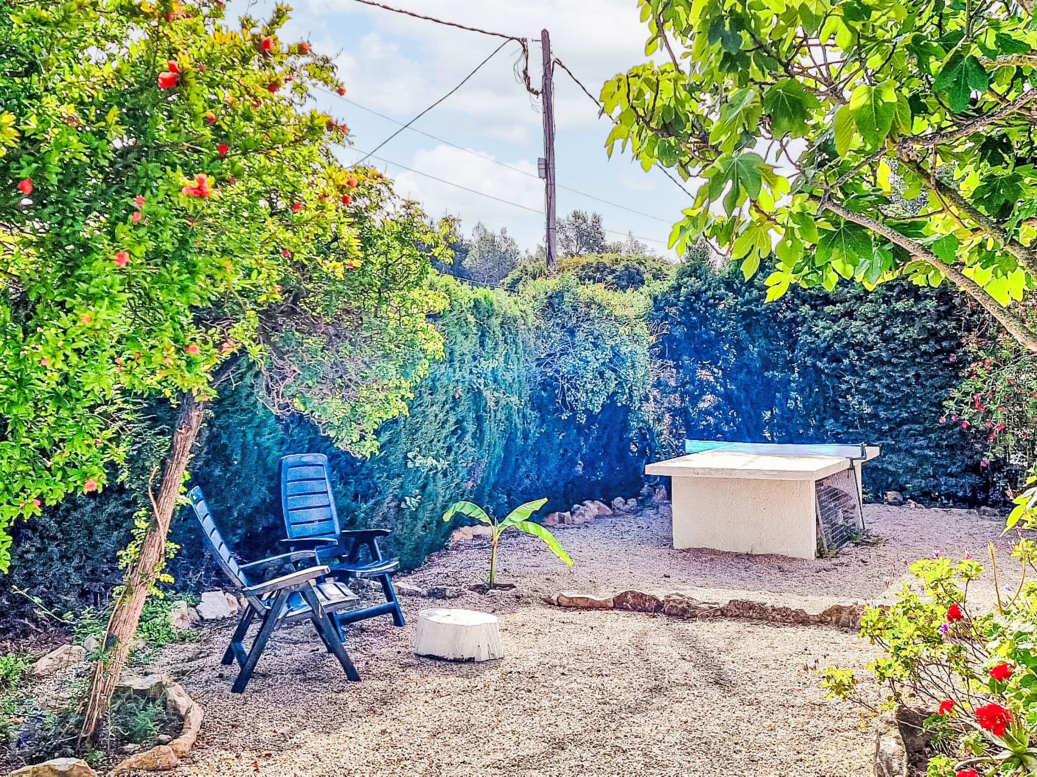 Outdoor