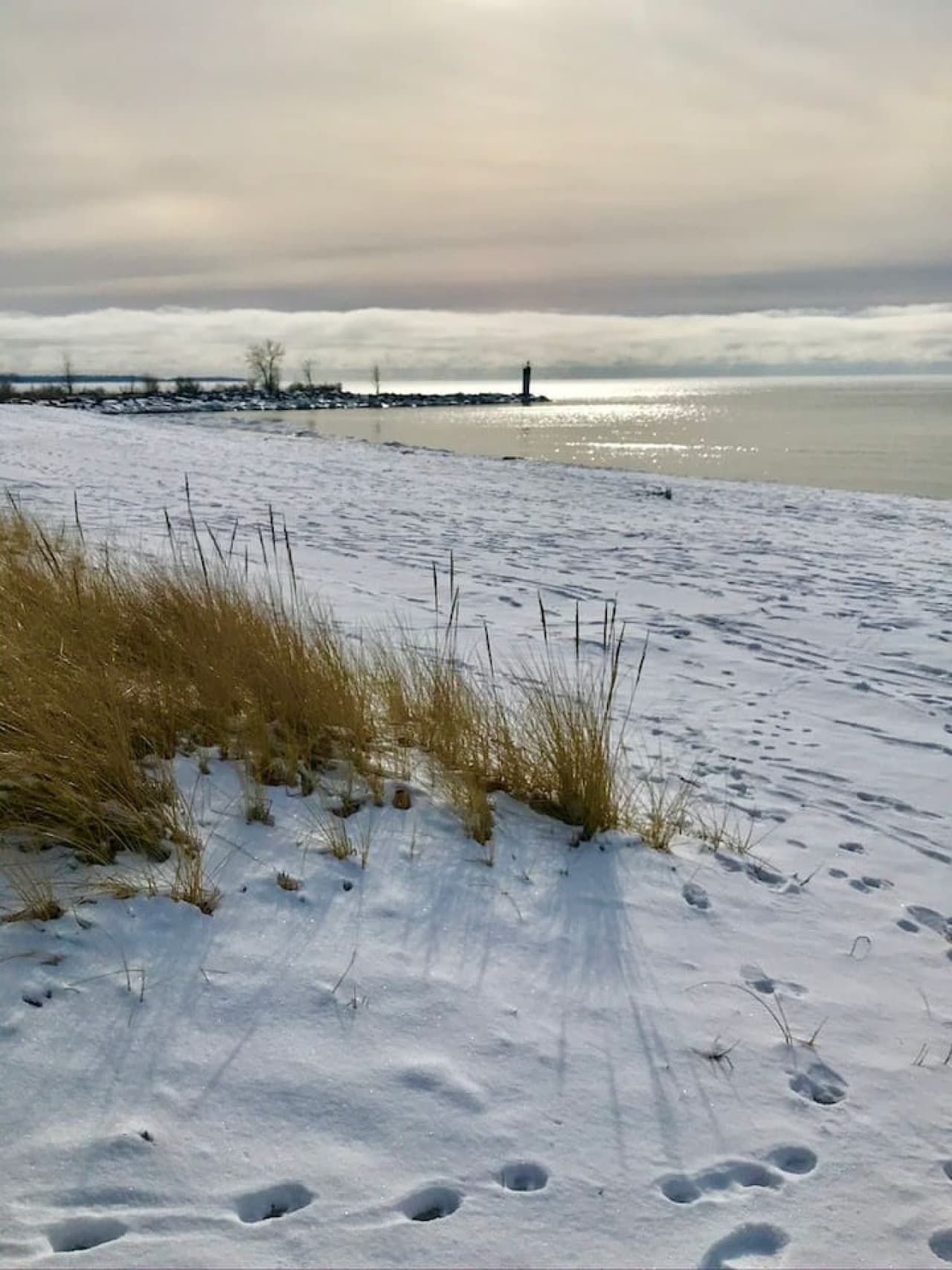 Wellington beach in winter. A lovely walk on a nice day!
