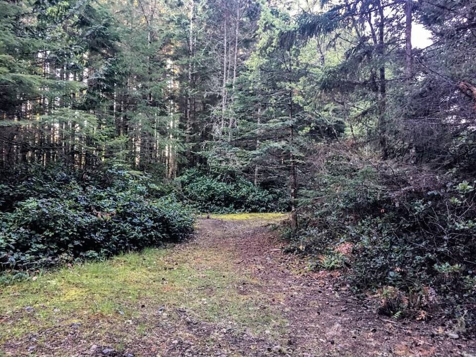 Gallery Image 38