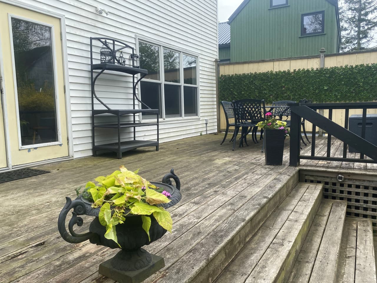 May 2025 back deck 1.jpg