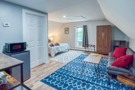 Modern Pet Friendly Apt: Hiking Touring: Studio