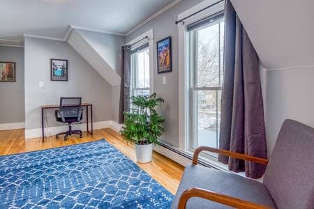 Modern Cozy Apt: Hiking Skiing Touring: 2nd Floor